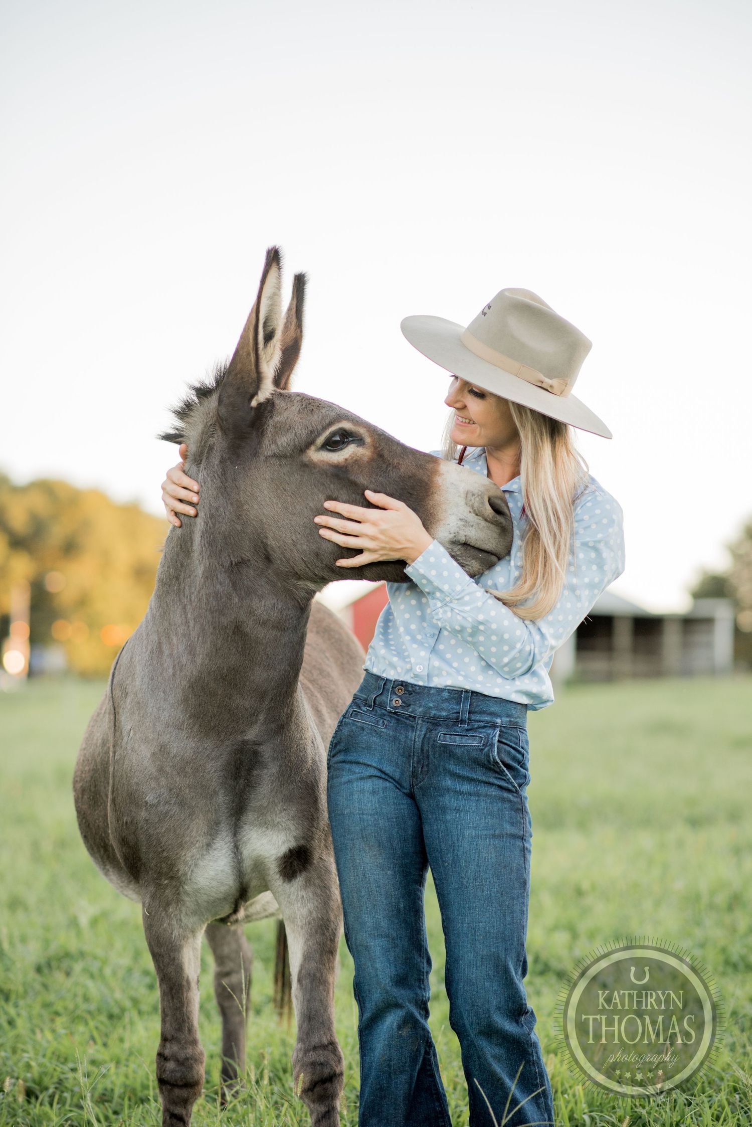 A gray donkey receives affection from someone wearing a cowboy hat and polka dot shirt.