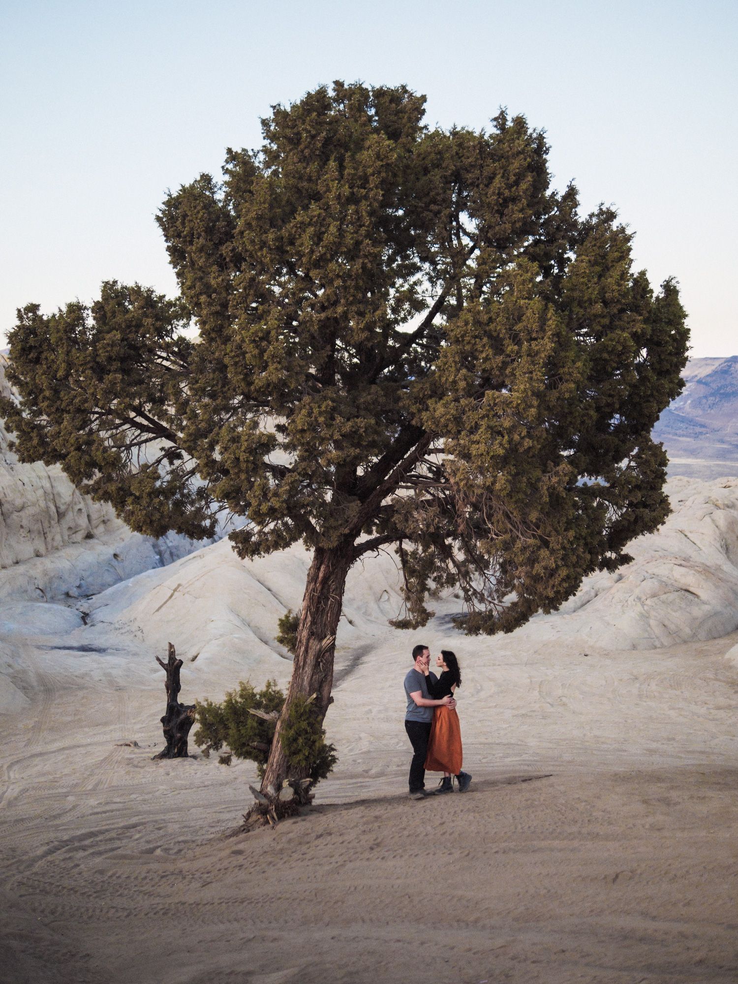 A lone juniper tree stands in a barren desert landscape with two people embracing beneath its branches at sunset.