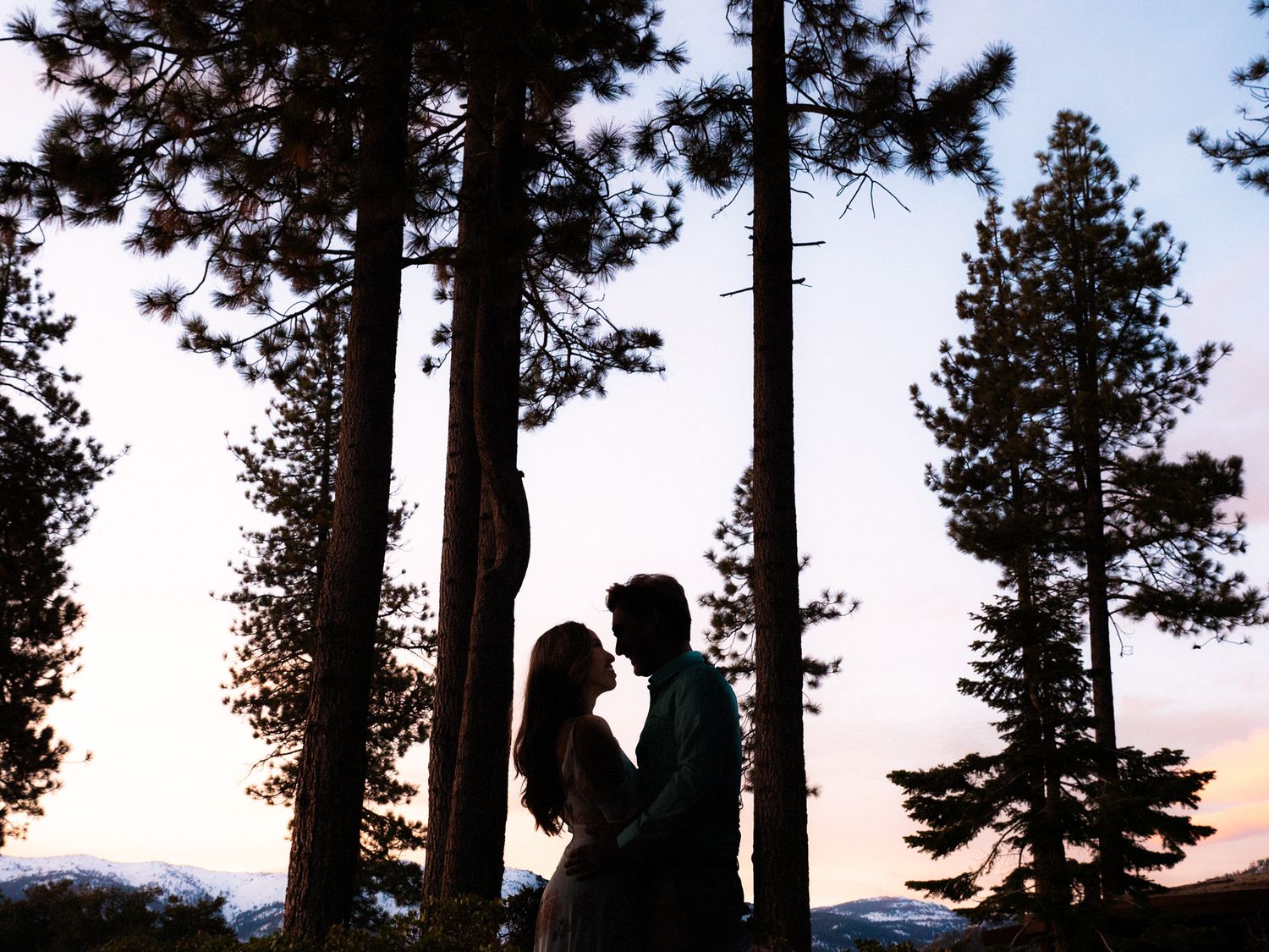 Romantic silhouettes stand together among tall pine trees at sunset against a mountain backdrop