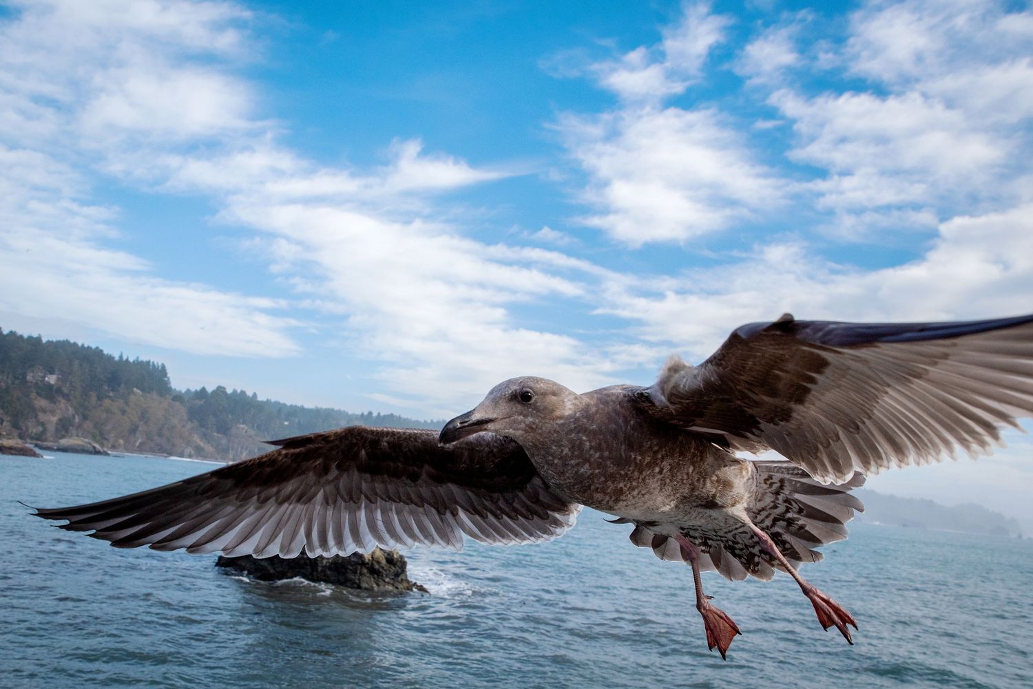 Nature photography