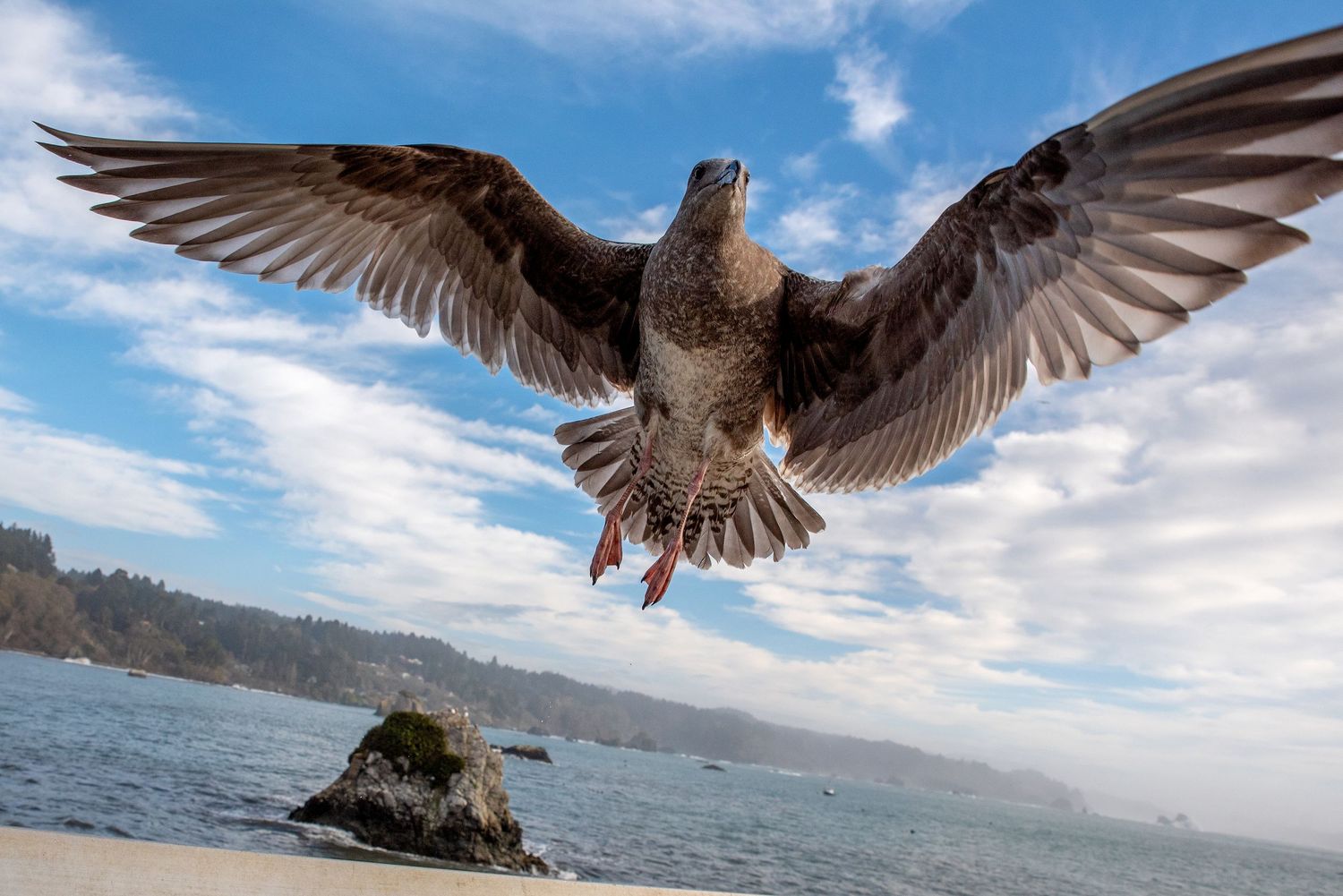 Nature photography
