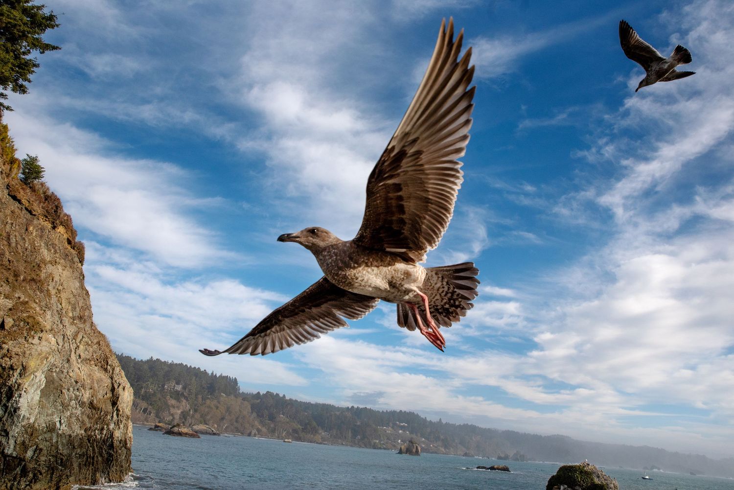 Stumble Into Flight #1