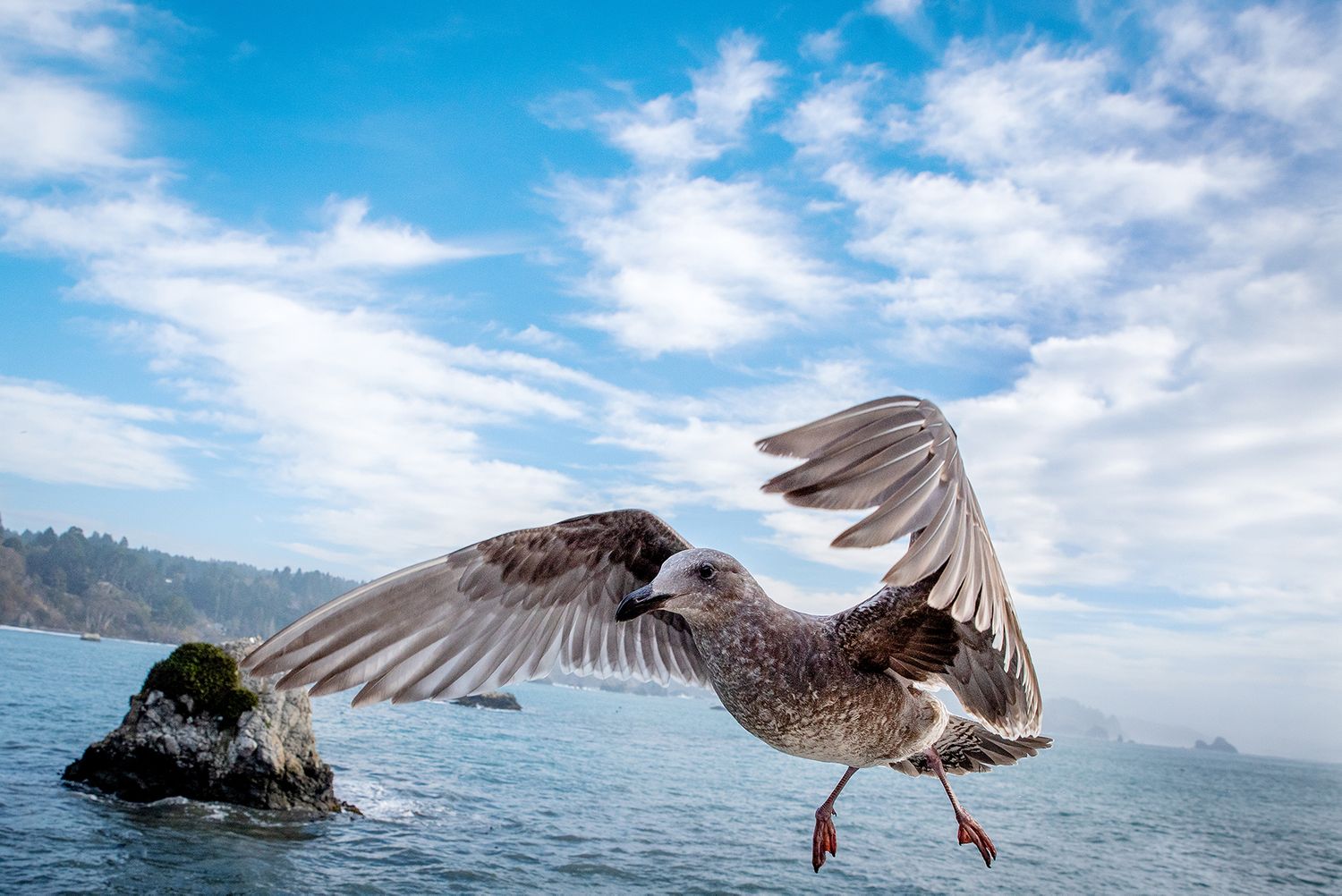 Nature photography