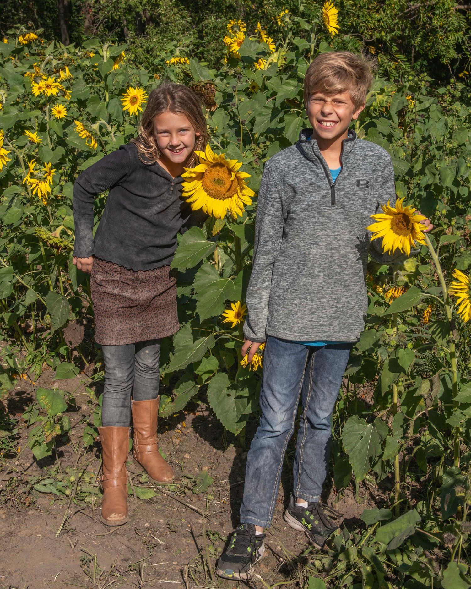 Children standing among tall blooming sunflowers in a garden.