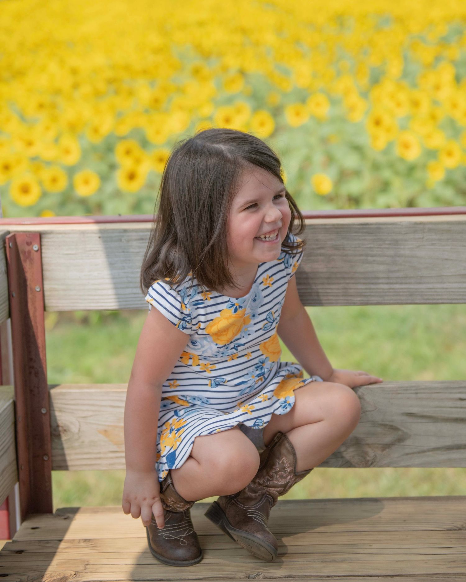 Rustic wooden bench overlooking a bright sunflower field on a sunny day.