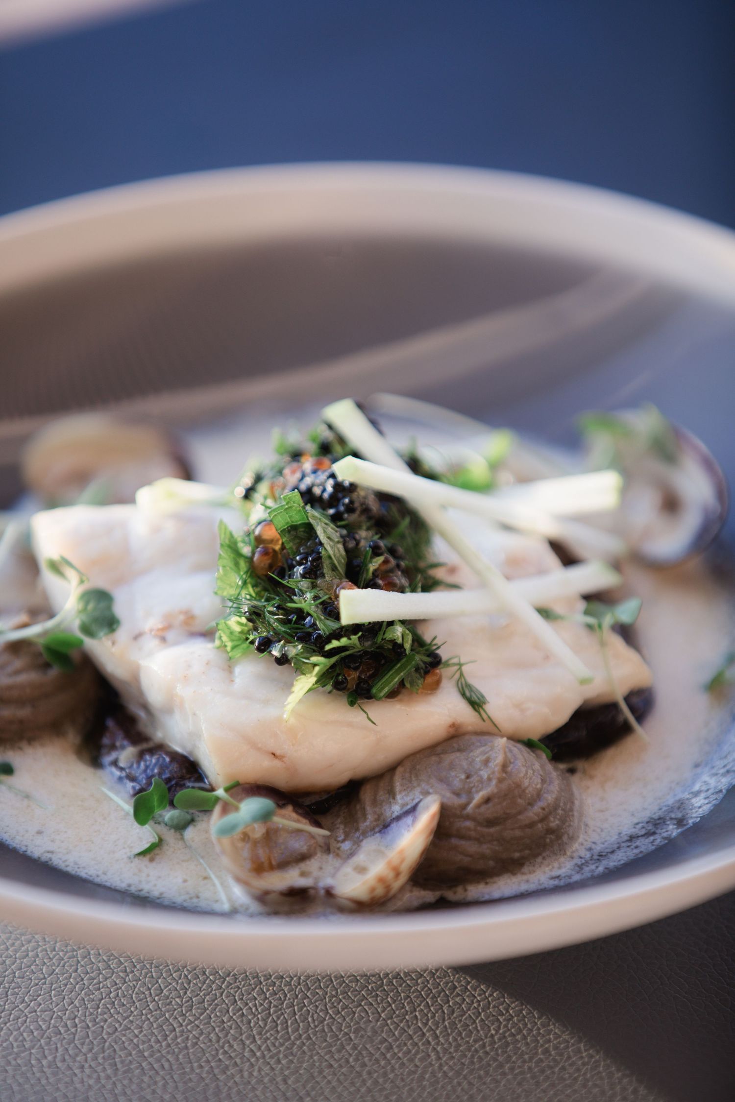 Seafood dish with white fish and clams garnished with fresh herbs on gray plate.
