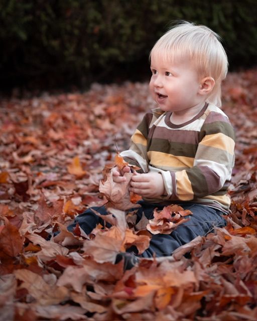 Baby sitting in autumn leaves wearing striped outfit, North Vancouver family photographer