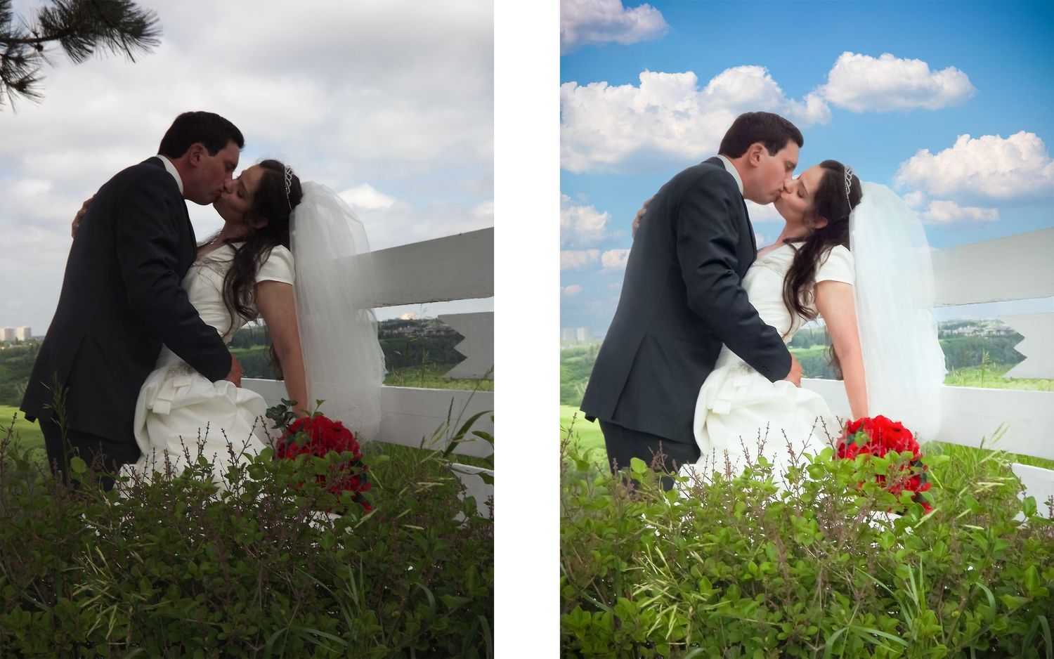 restored image, scratch removal, faded photo revitalized, digital photo restoration, background replacement