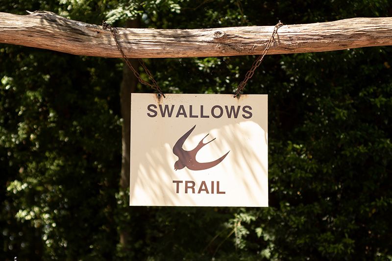 swallows oast sign