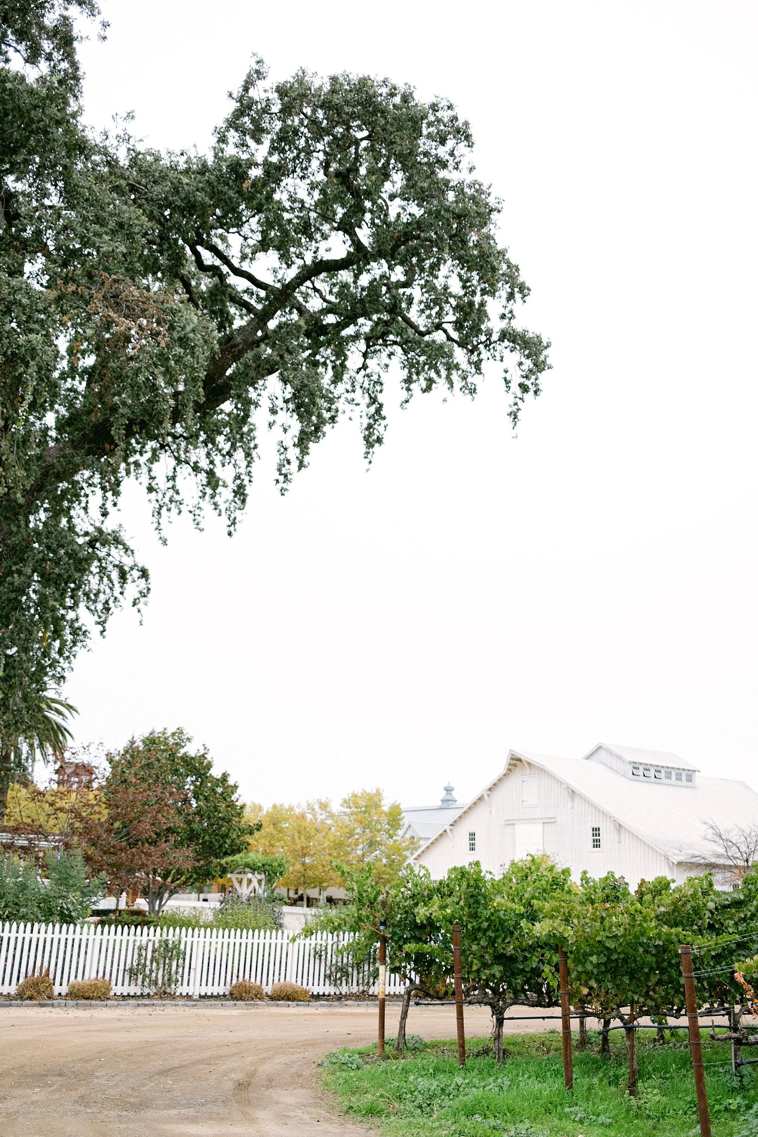 The property grounds at Nickel & Nickel are stunning.