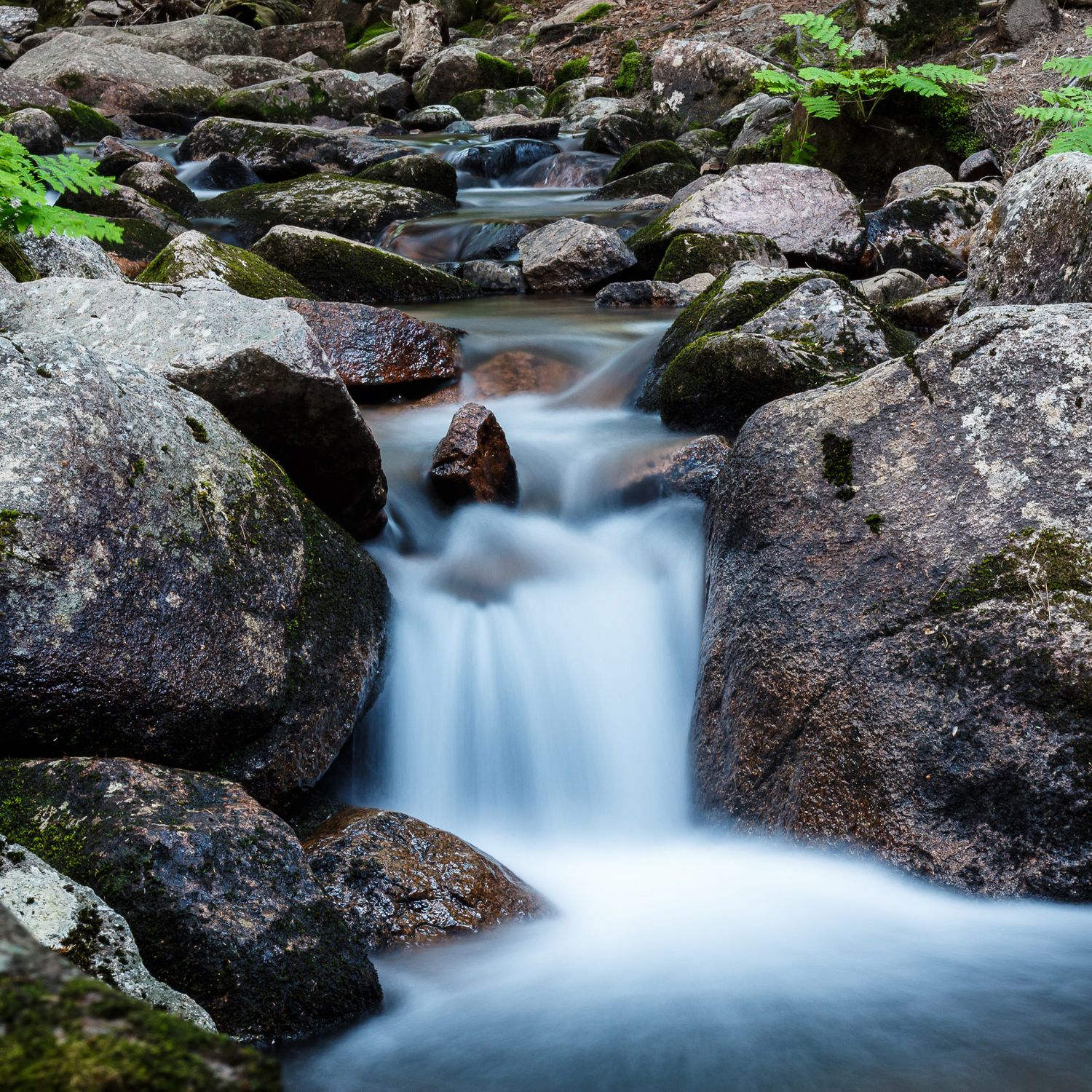 Waterfall, Acadia National Park, USA