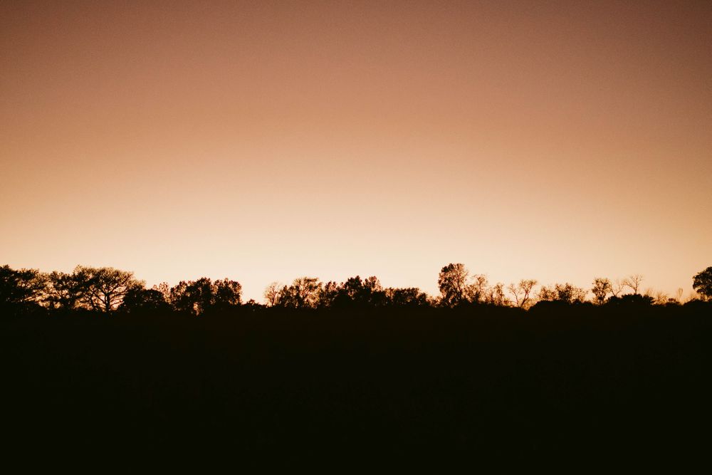 Sunset landscape with dark treeline silhouetted against orange gradient sky.