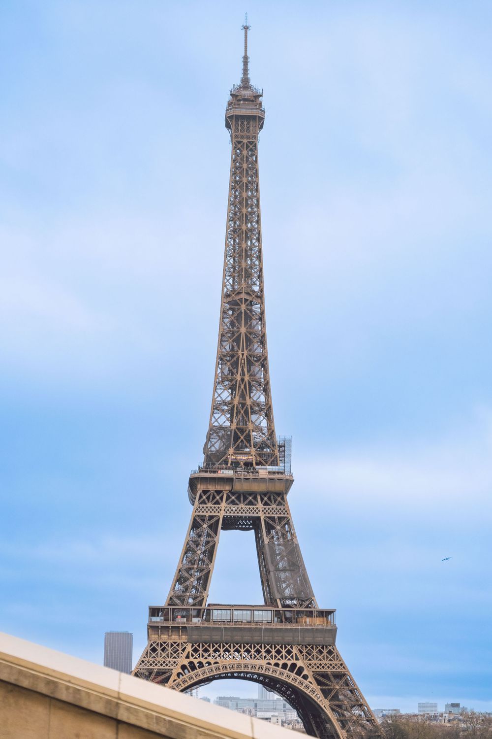 a beautiful protrait of eiffel tower