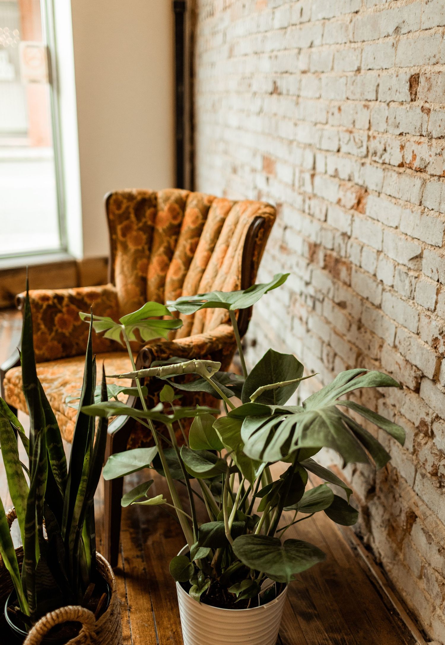 A cozy corner with vintage velvet chair and potted plants against exposed brick wall.