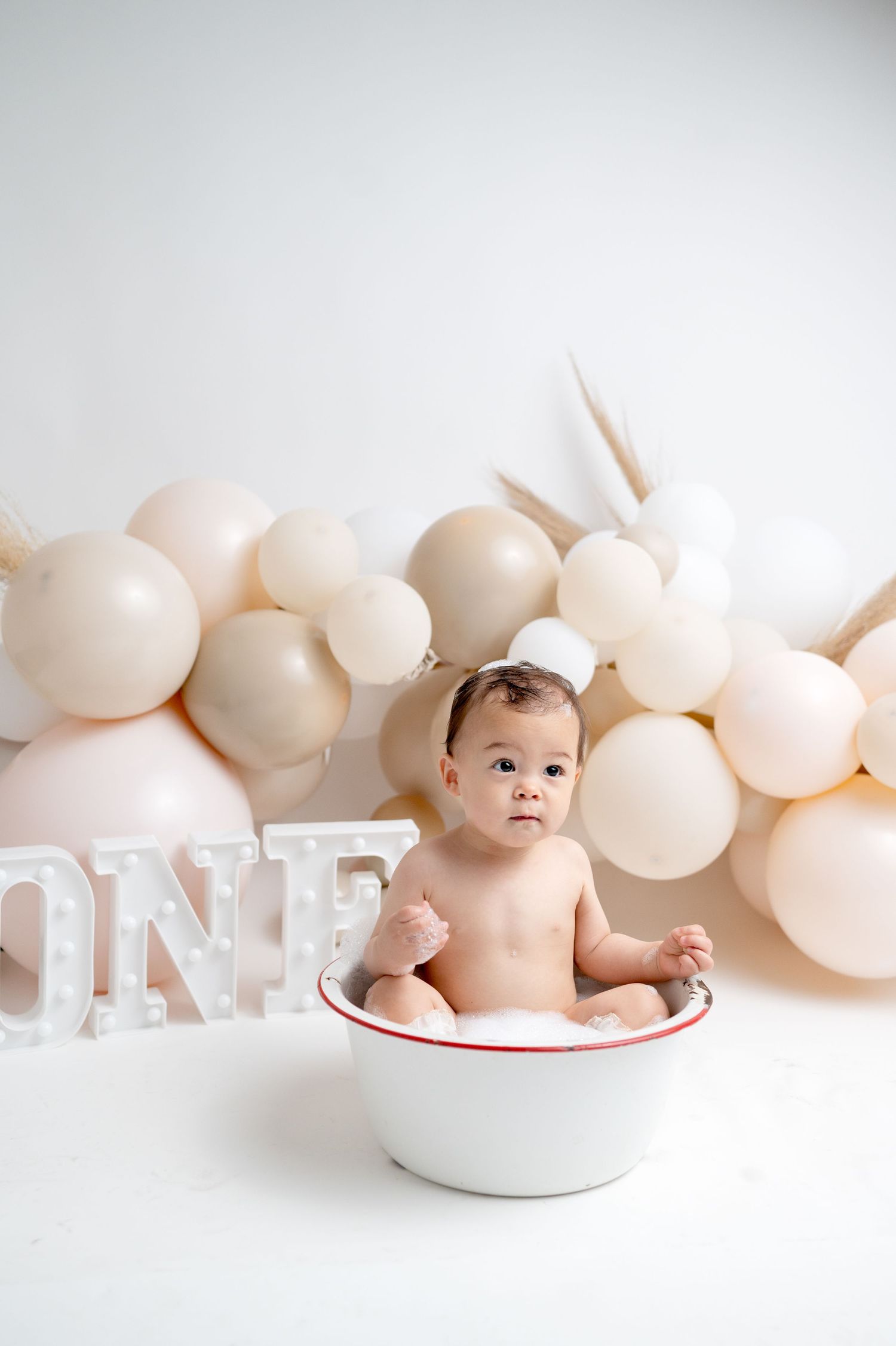 Tracy Newborn Photographer