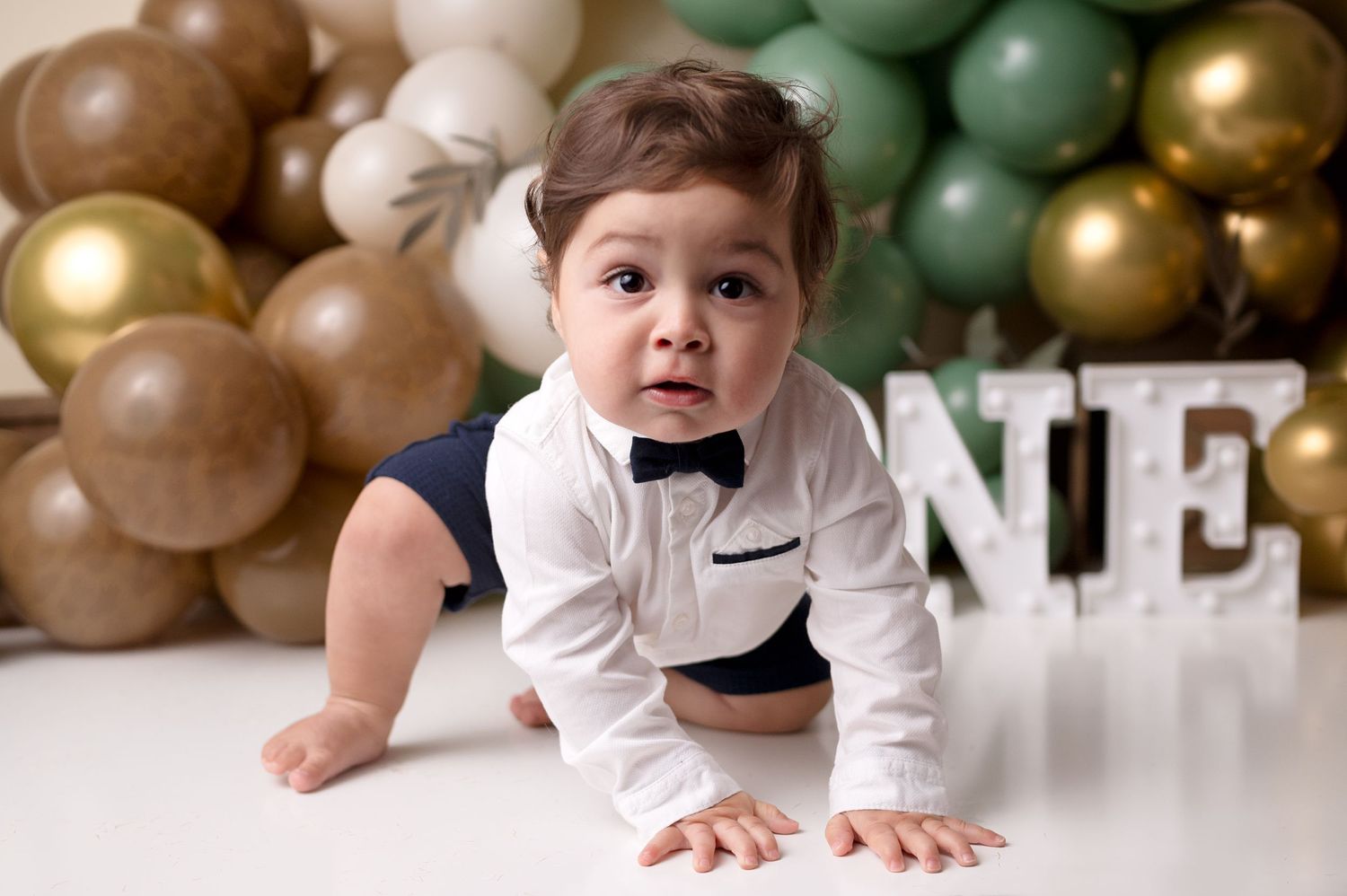 Tracy Newborn Photographer