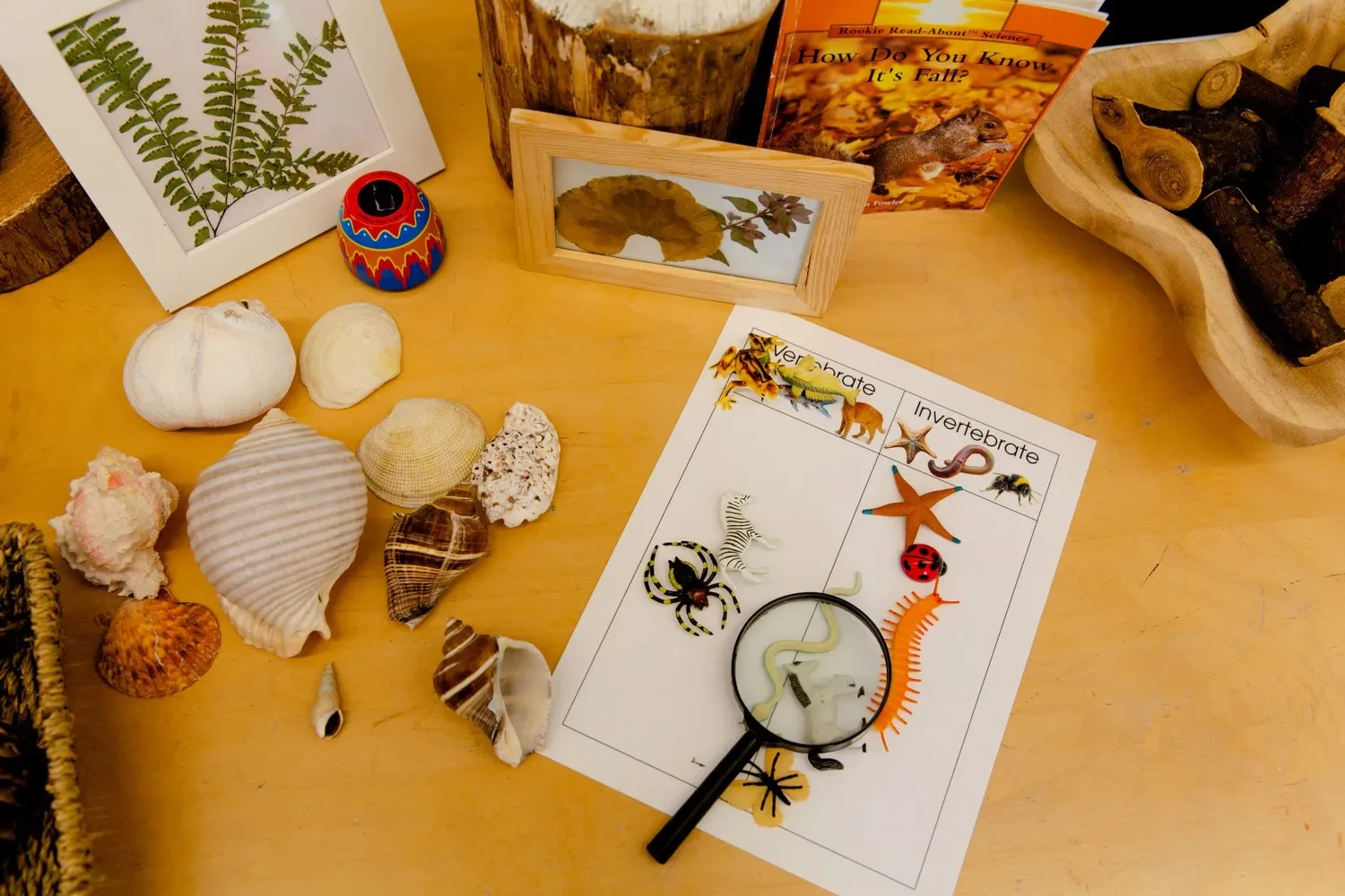 Botanical sketching materials laid out on a desk with leaves, pencils, and sketchbooks for nature drawing.