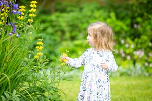 little girl picking some flowers