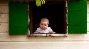 small boy looking out of a garden shed