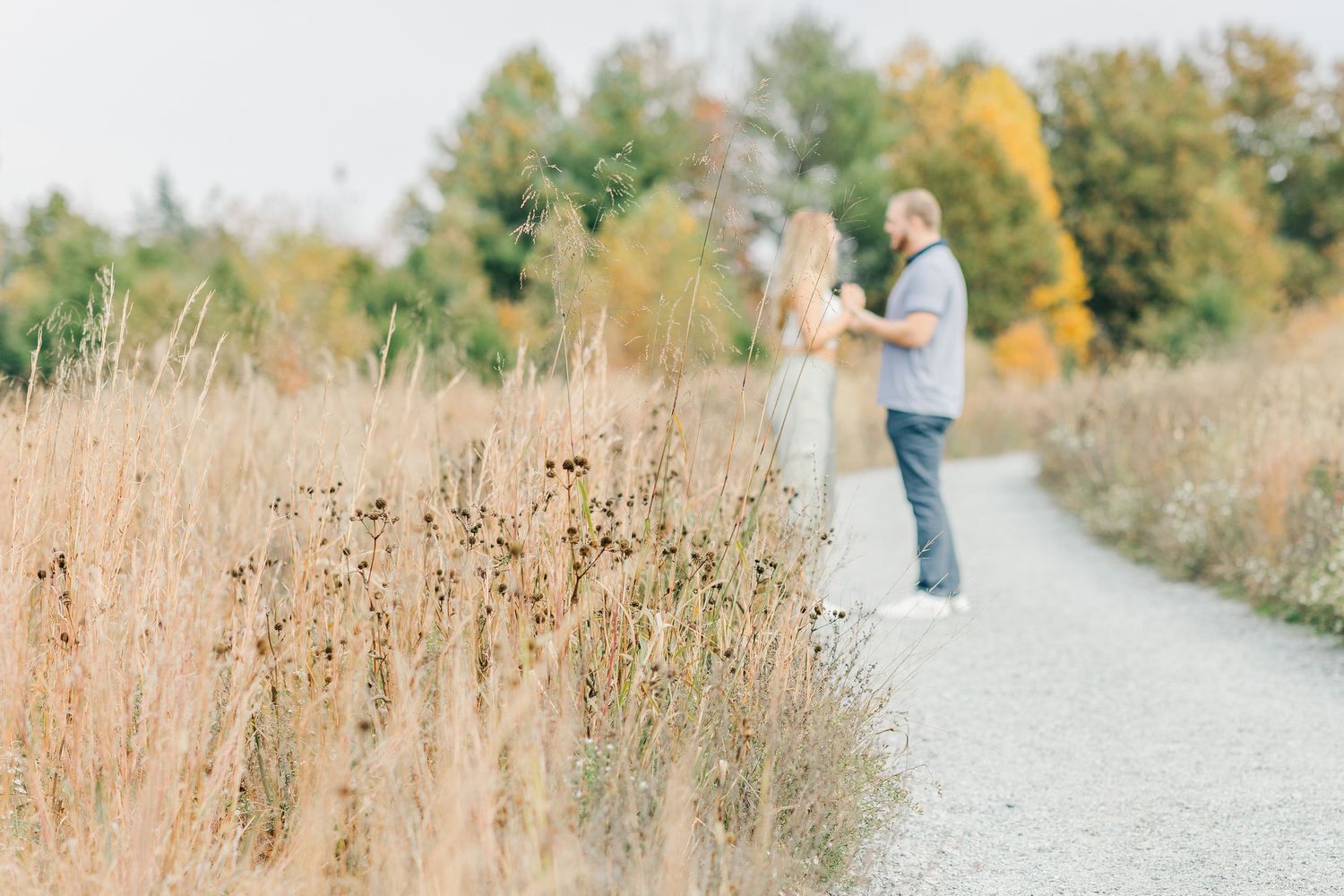 northern virginia surprise proposal glenstone museum