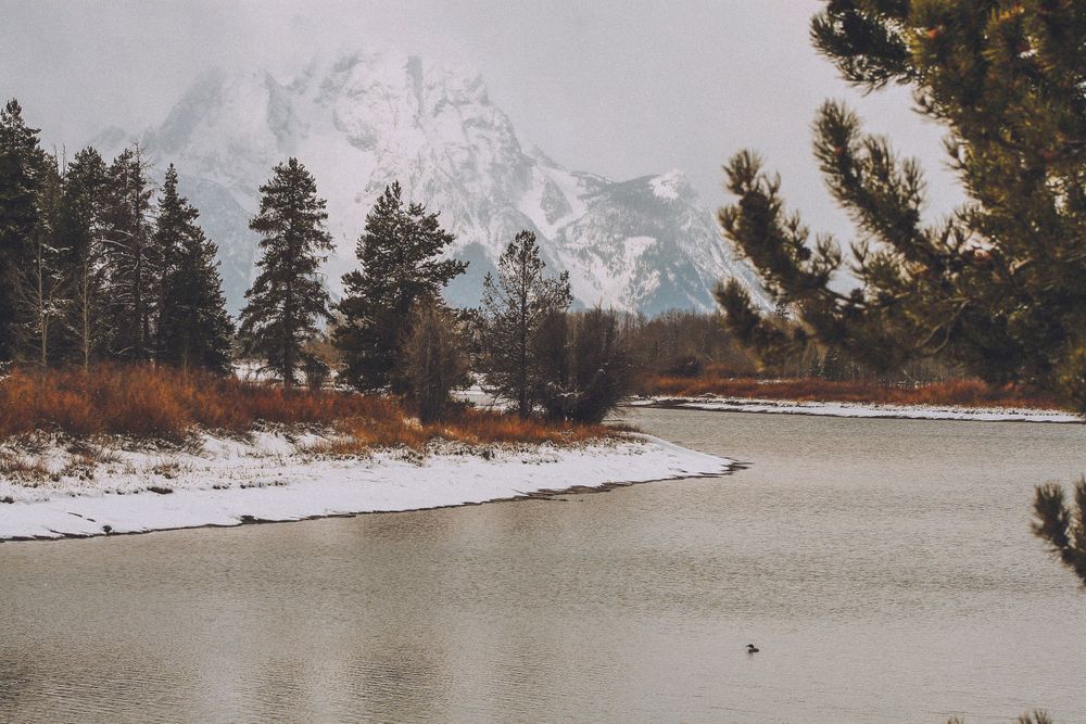 Snowy mountain landscape with evergreen trees along a winding river bank in winter.