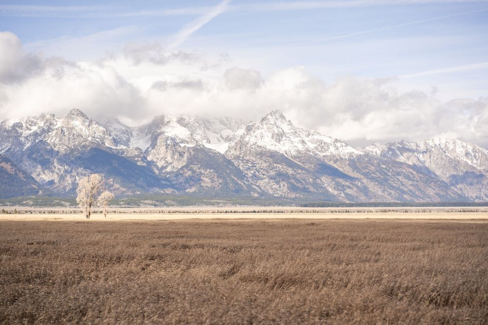 Snow-capped mountain range rising above brown winter grasslands under cloudy skies.