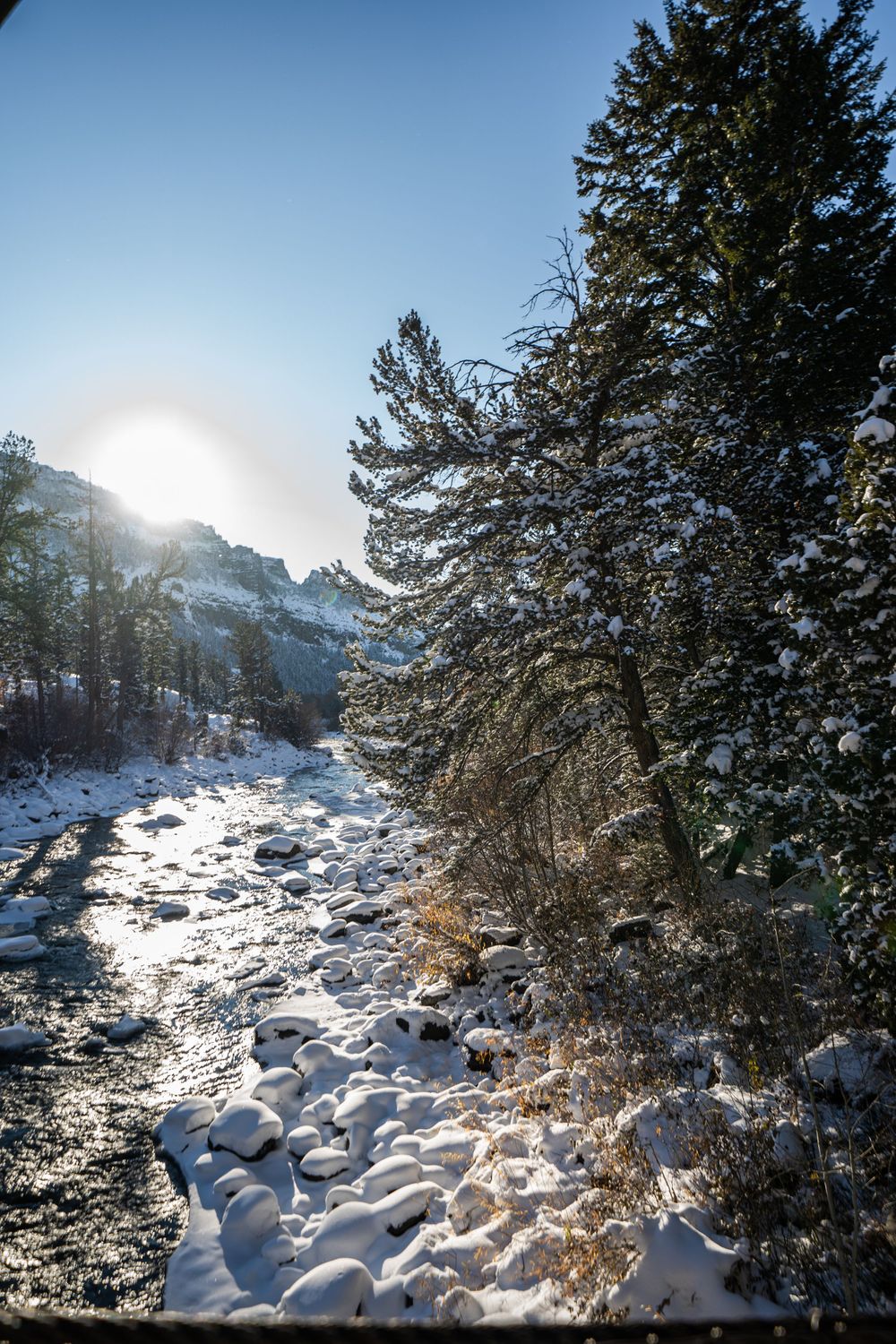 Snow-covered riverbank with sunlit evergreen trees and mountain peaks in winter.