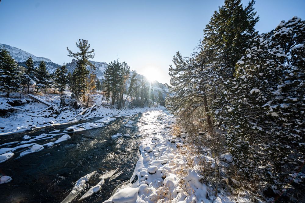 Sunlit winter creek flowing through snow-covered landscape with evergreen trees.
