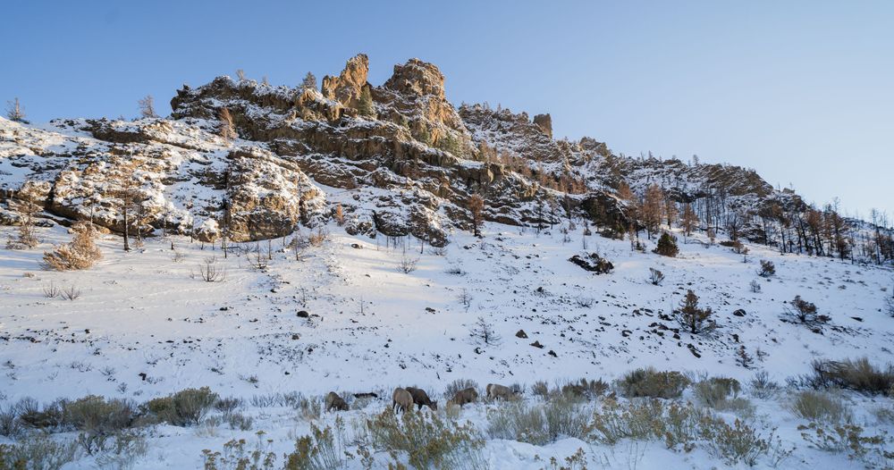 Snow-dusted rocky cliff formation against clear blue winter sky.
