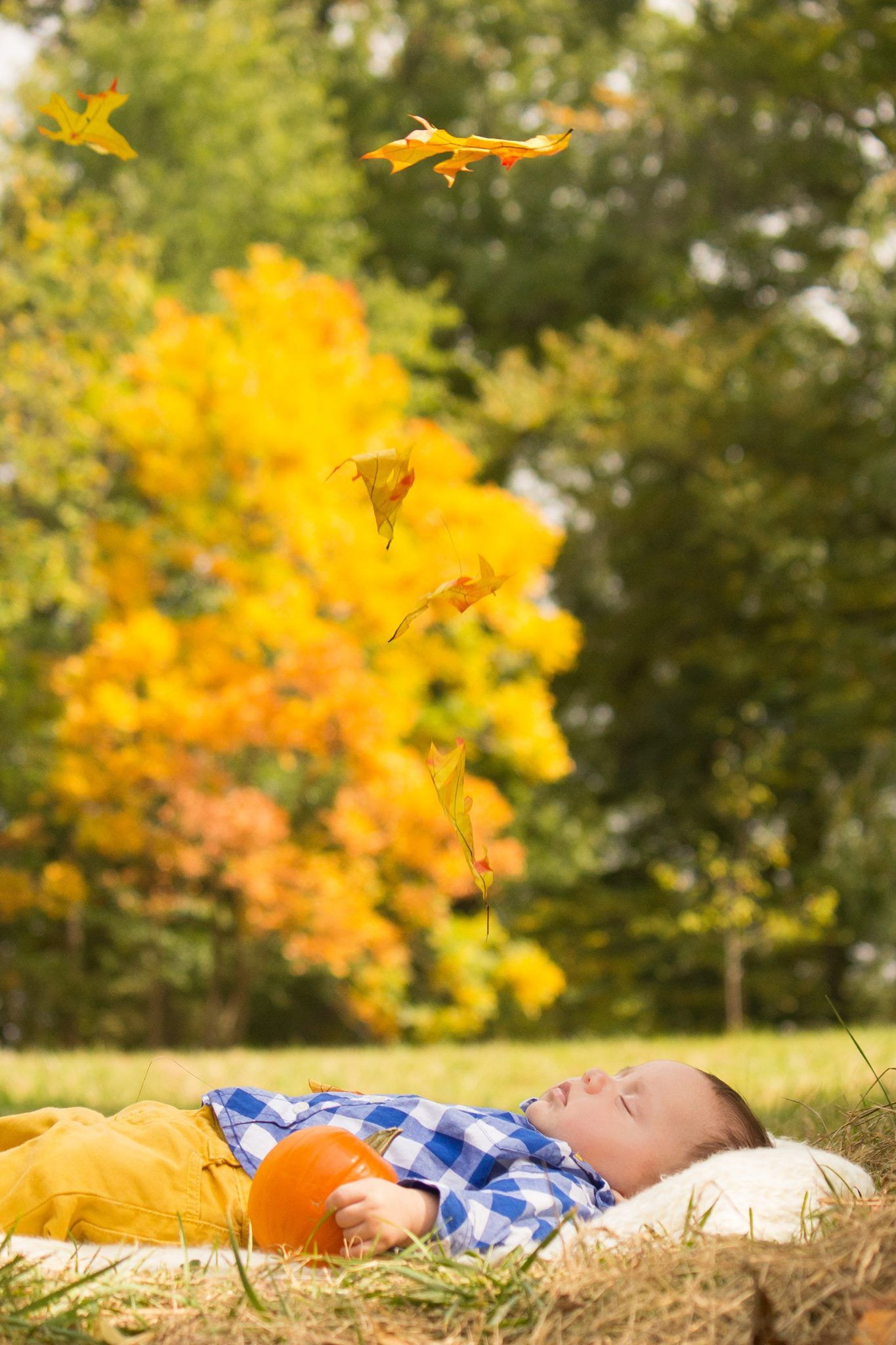 Infant sleeps in outdoor fall scene.