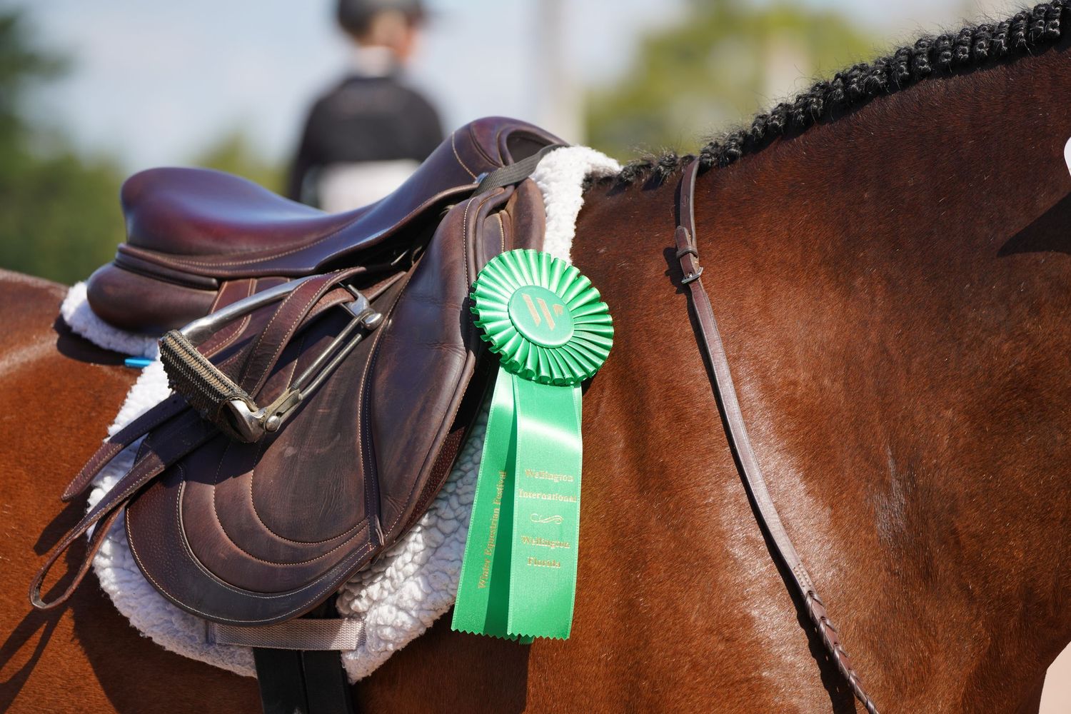 RK Equine Photography, Rachel Korthals, WEF, ESP, PBCHA, USHJA