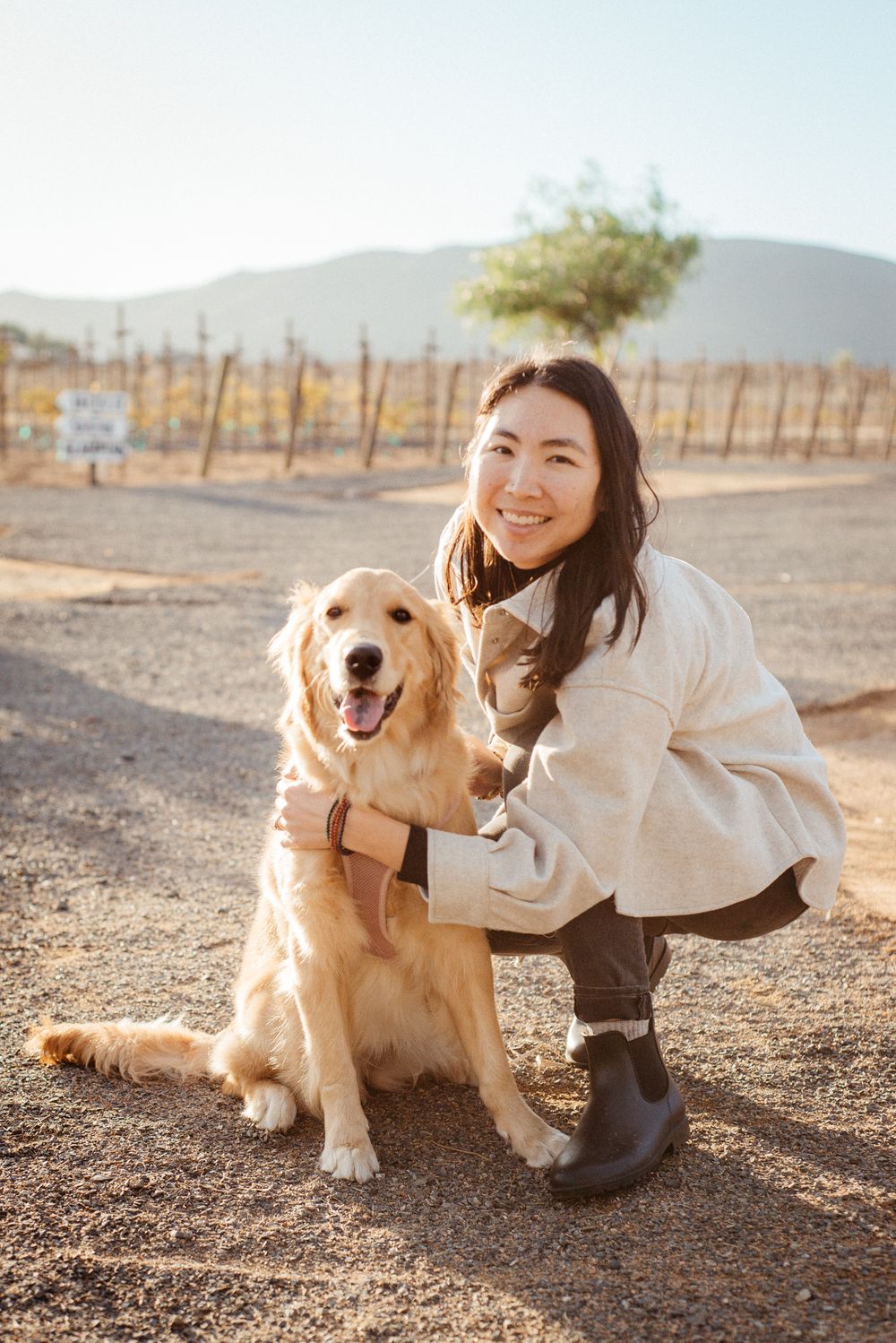 Golden retriever and owner enjoying a sunny day in a vineyard landscape.
