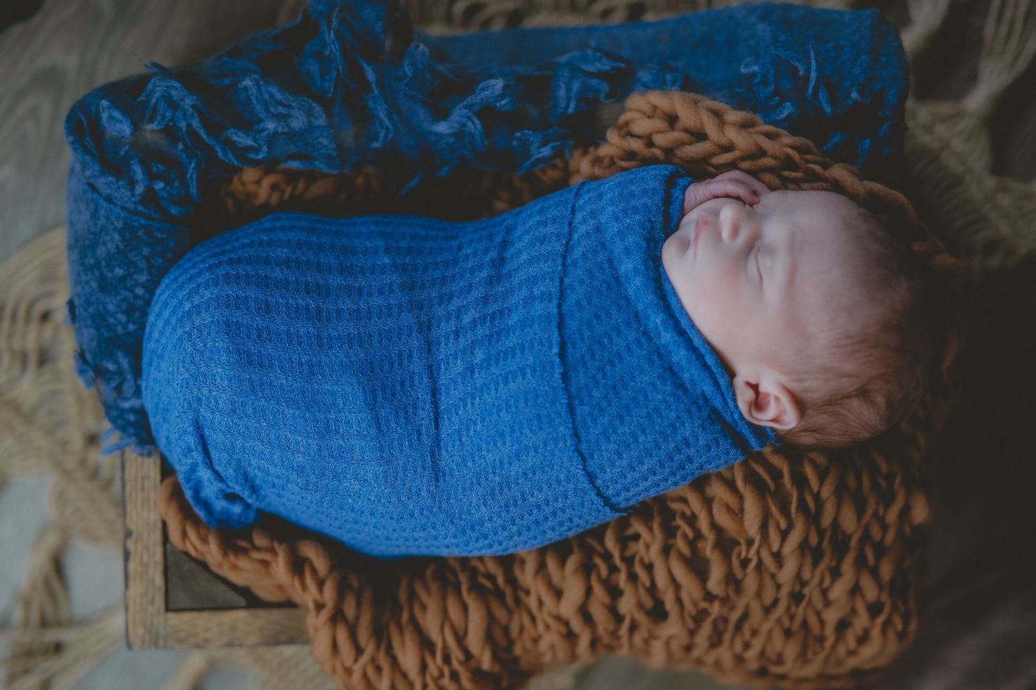 newborn