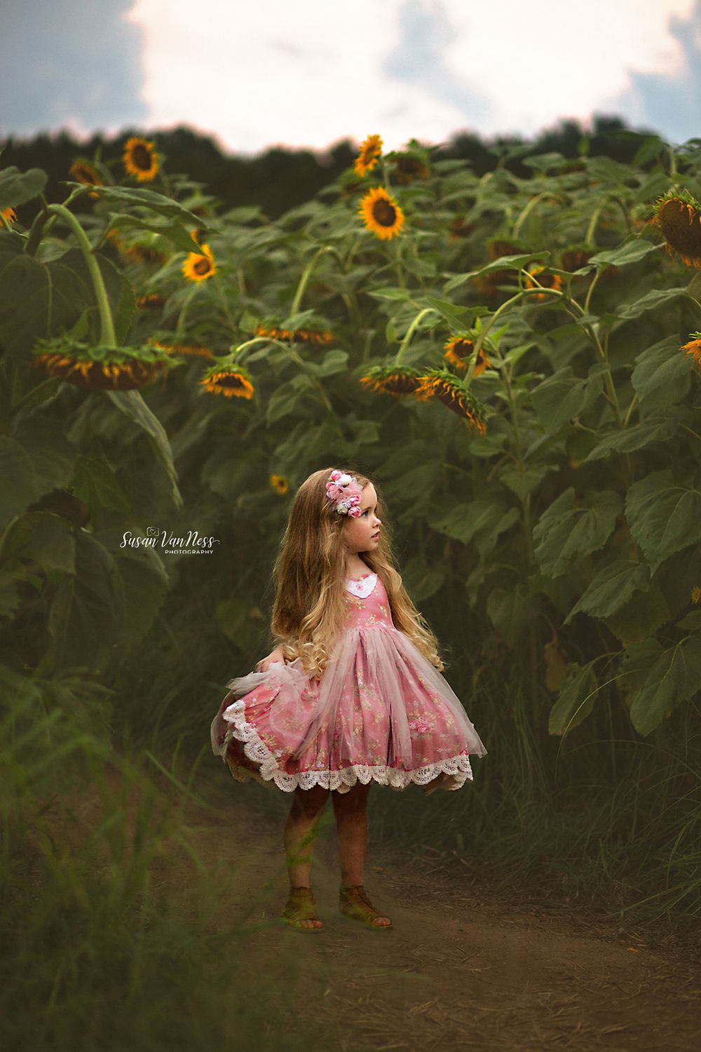 Raleigh Best Children's Photographer