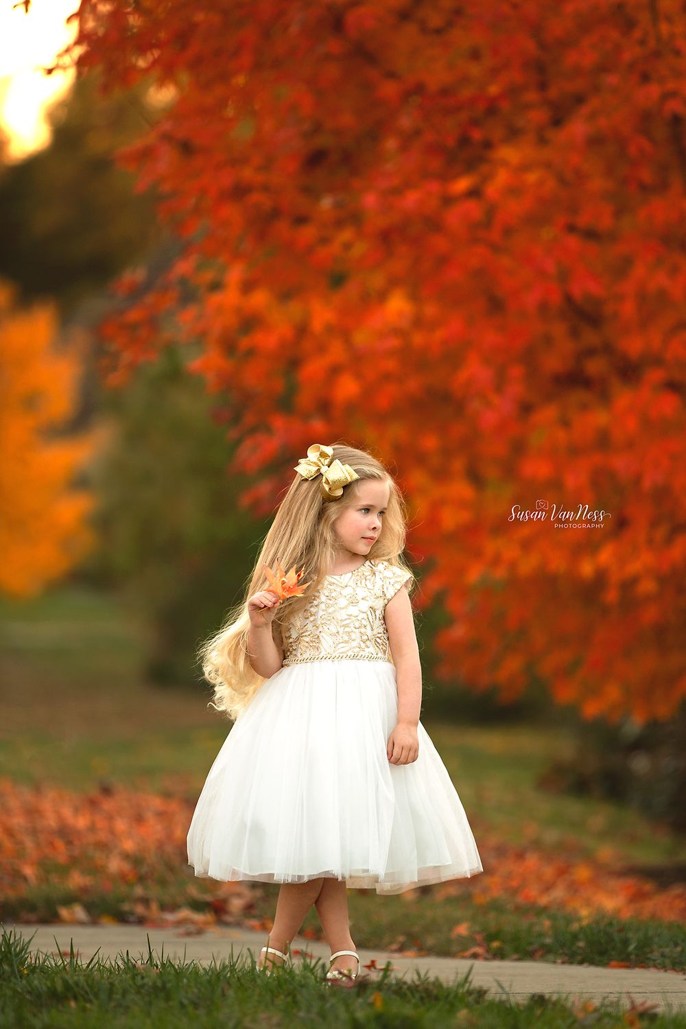 Raleigh Best Children's Photographer
