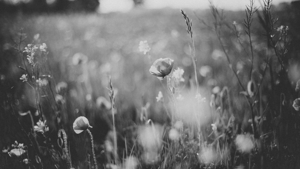 landschapsfotografie natuurfotografie pitoresk