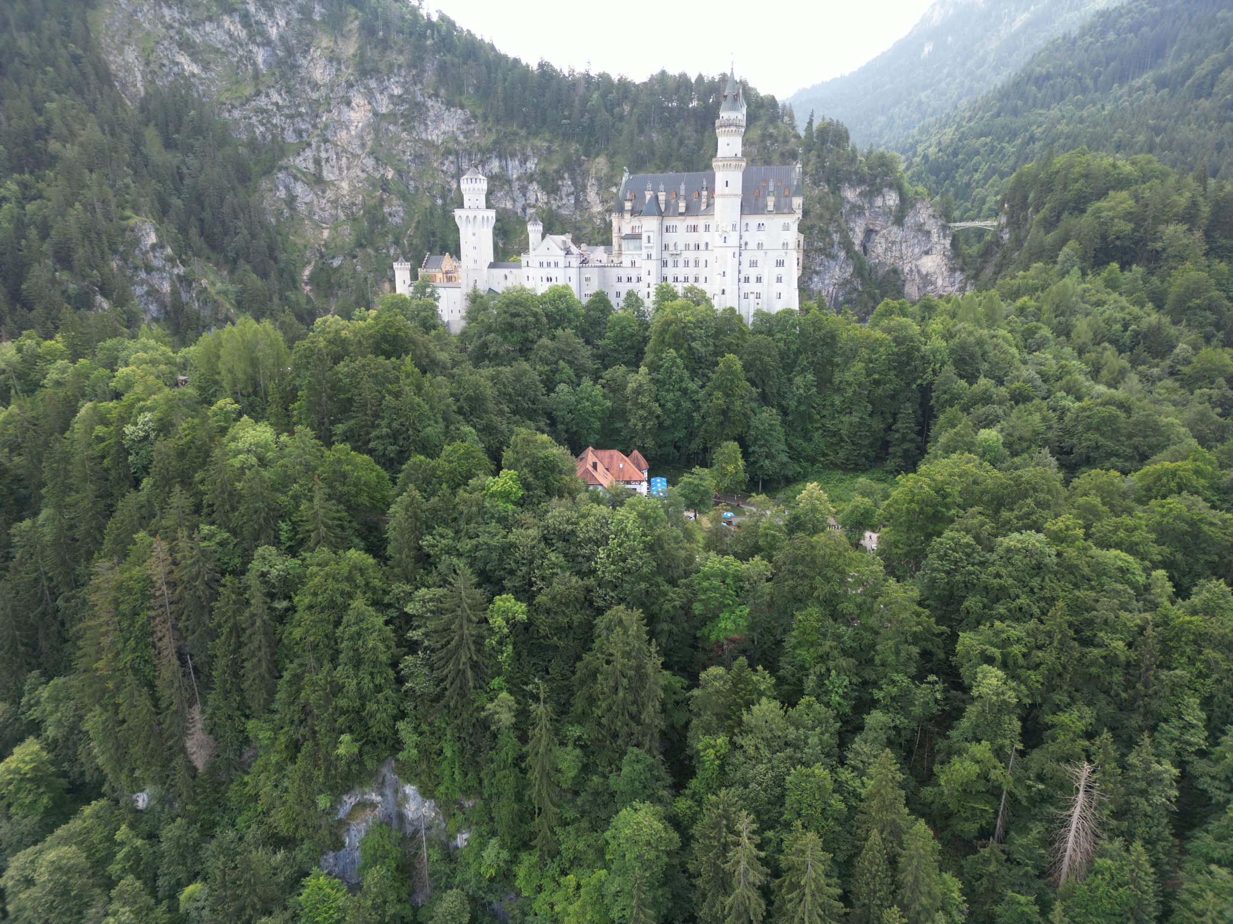 Scenic panoramic view of Neuschwanstein Castle nestled in the Bavarian Alps surrounded by lush green forest.
