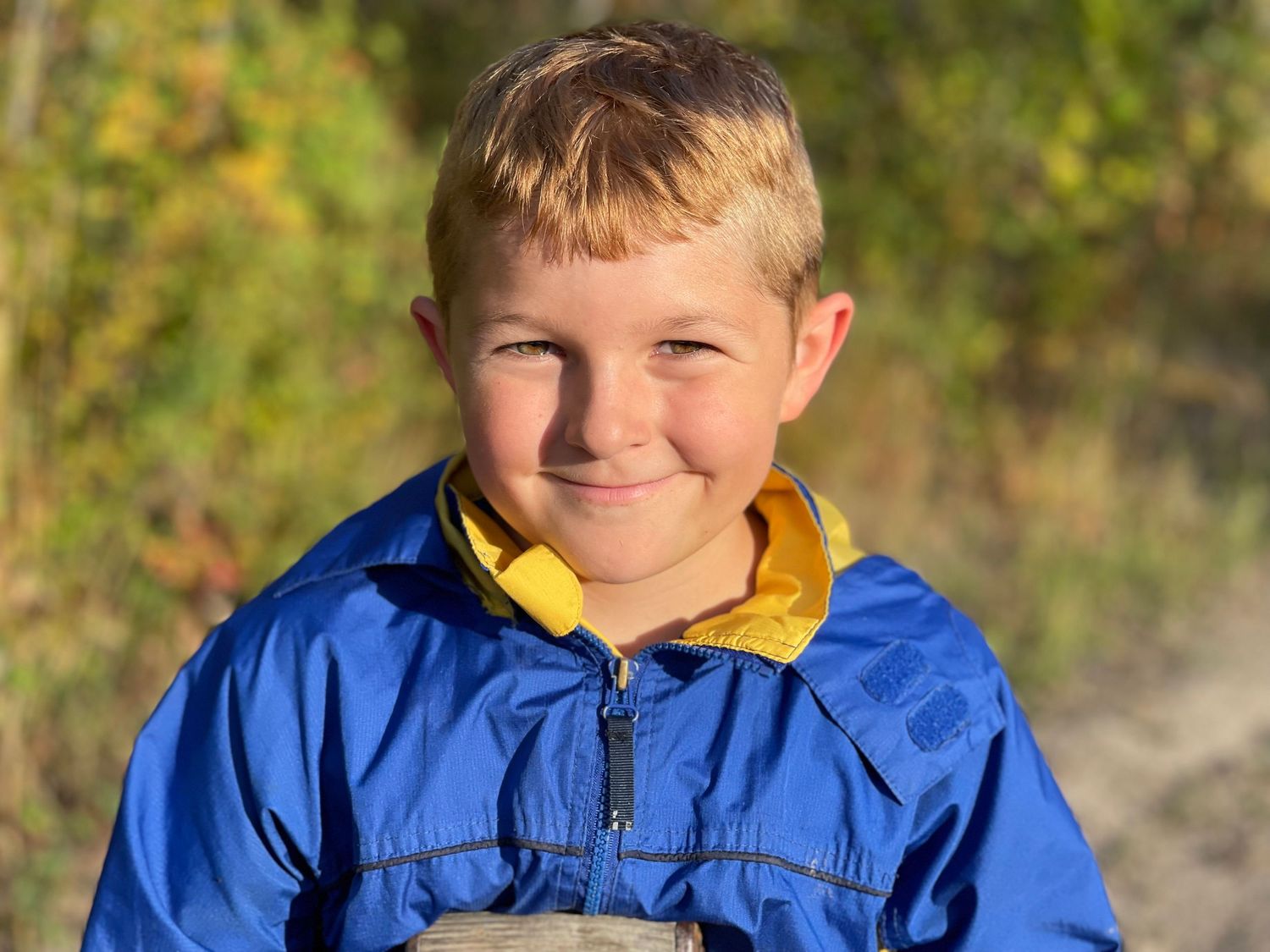 Child wearing a bright blue jacket poses outdoors against autumn foliage.