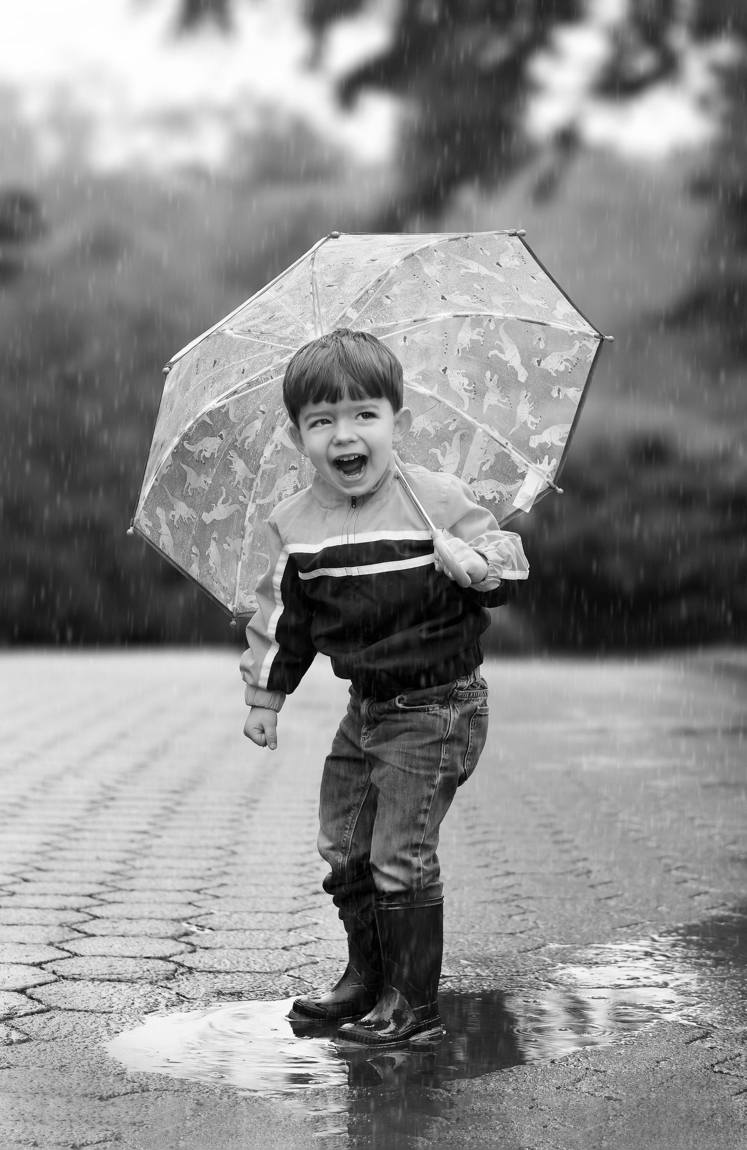 a small boy jumps in a puddle on a rainy day at the National Zoo in Washington, DC