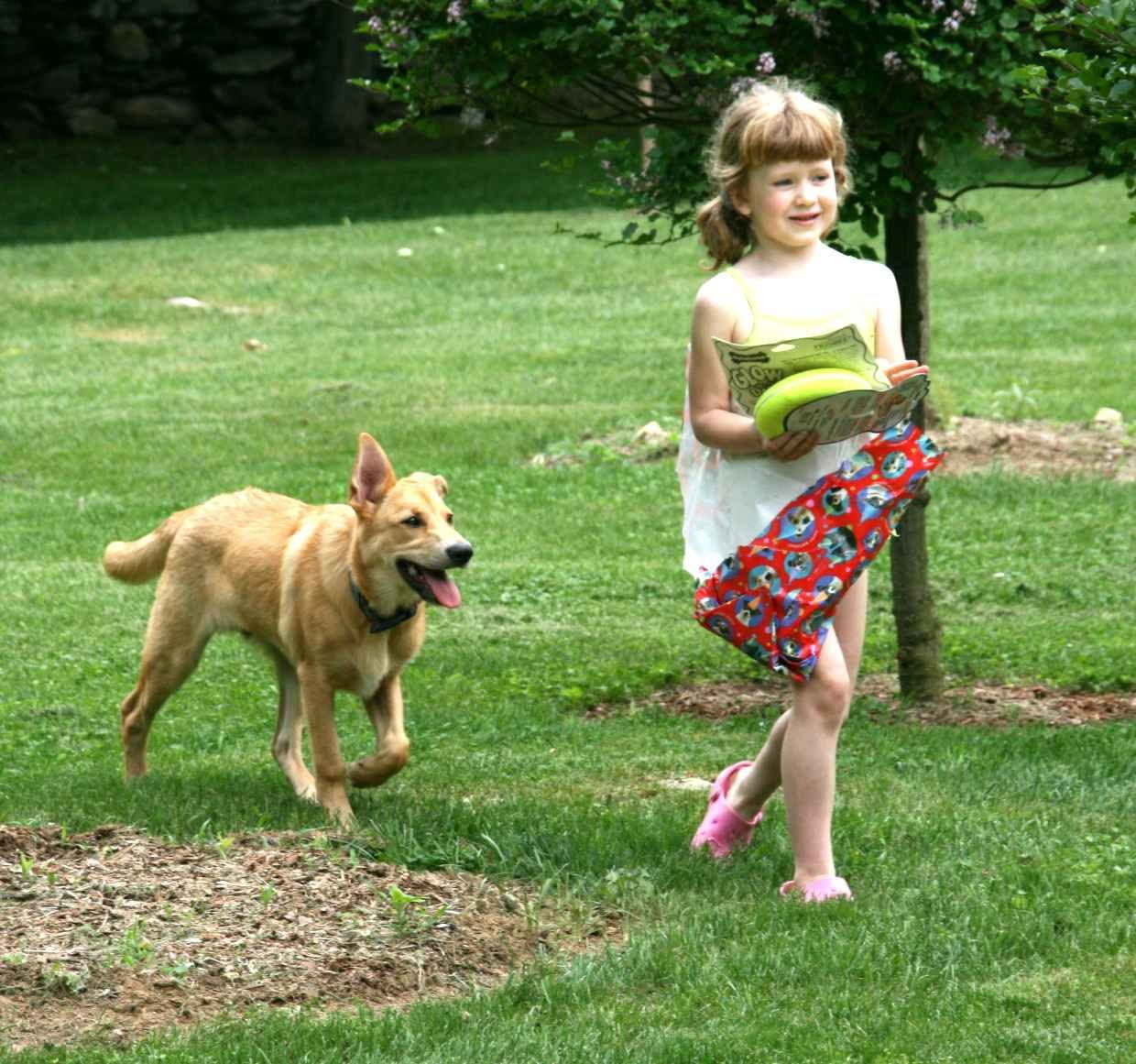 Chinook Dogs and Kids:  Otie and June headed to a Chinook Dog party!