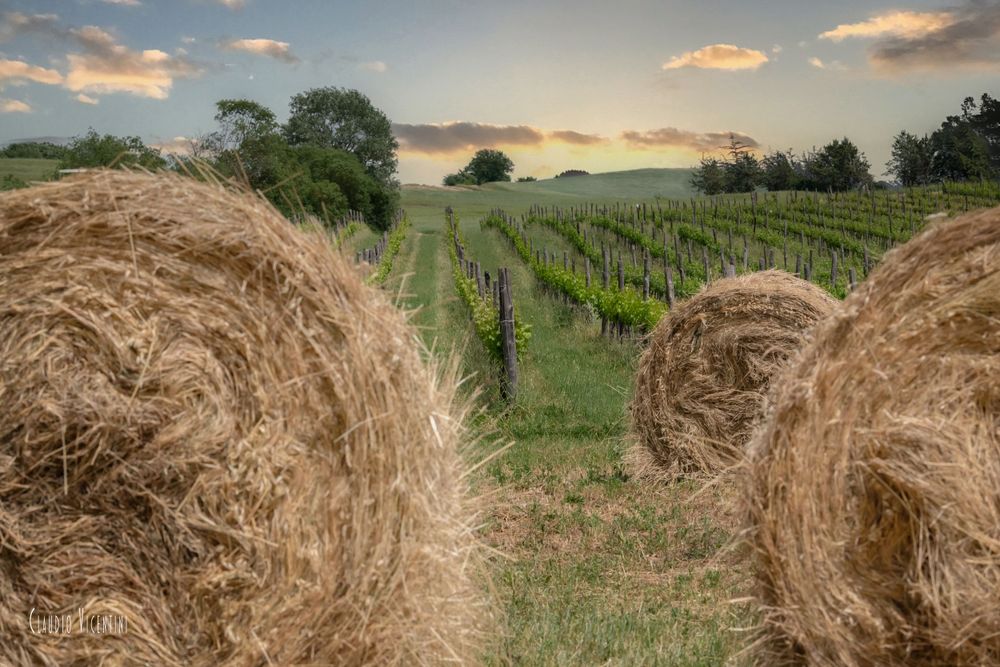 Maremma Countryside Landscapes (Tuscany) Claudio Vicentini Photographer