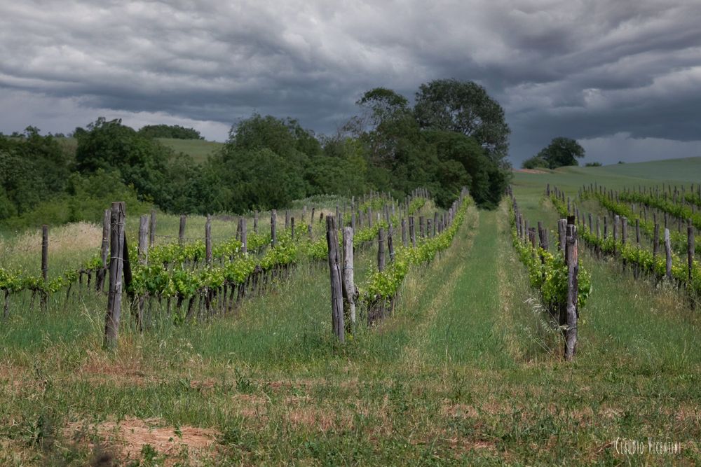 Maremma Countryside Landscapes (Tuscany) Claudio Vicentini Photographer