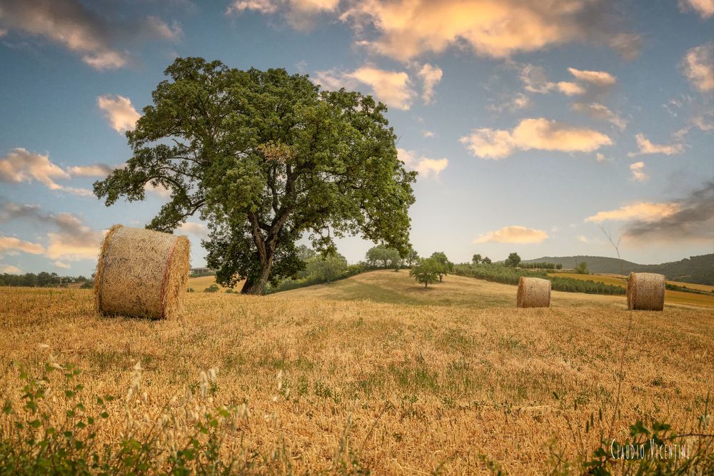 Maremma Countryside Landscapes (Tuscany) Claudio Vicentini Photographer