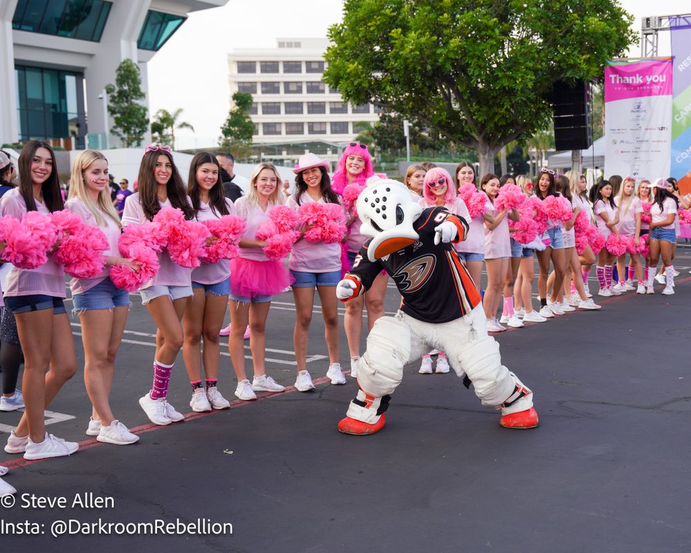 Orange County Event Photographer