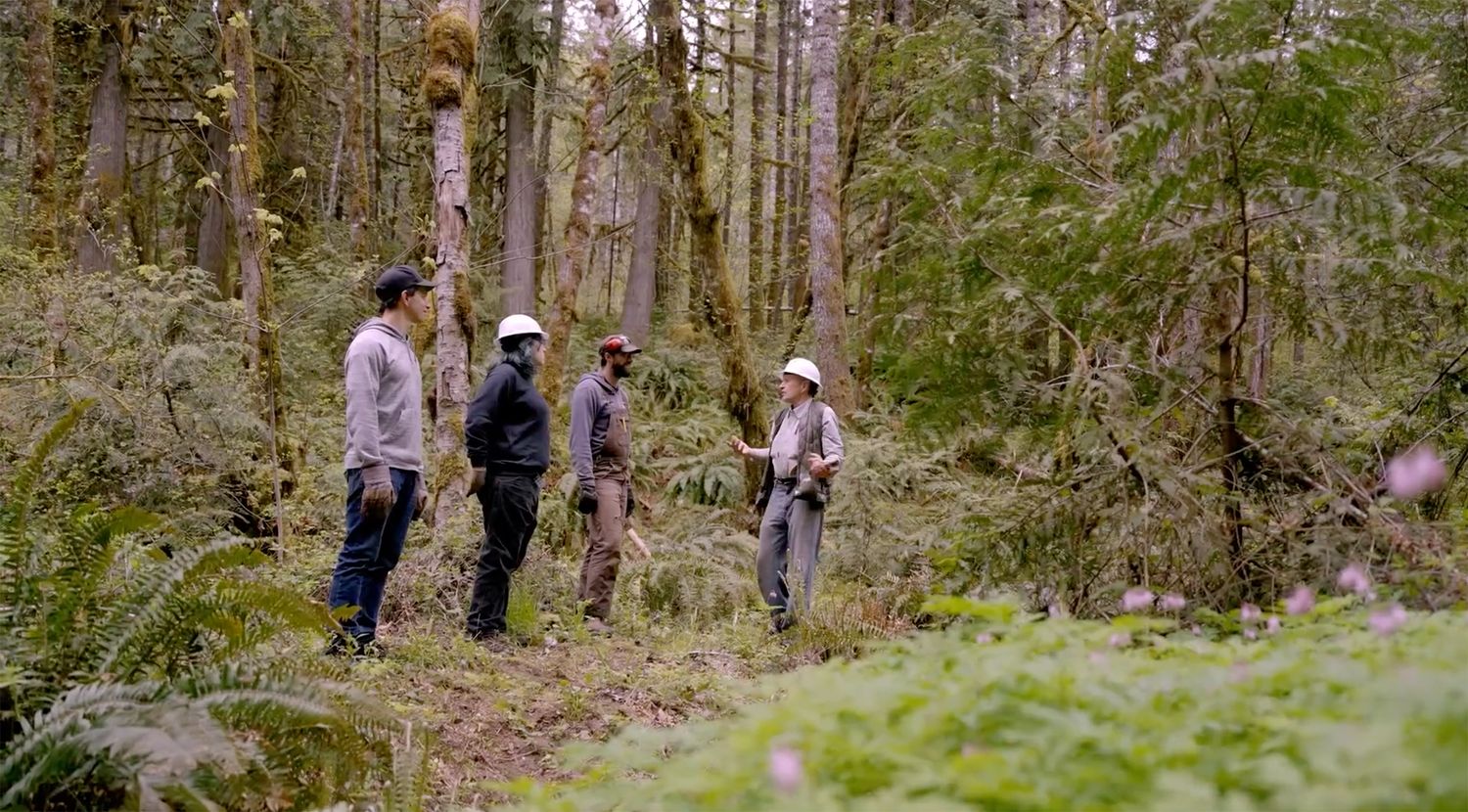 Group of hikers exploring a lush forest trail surrounded by tall trees.