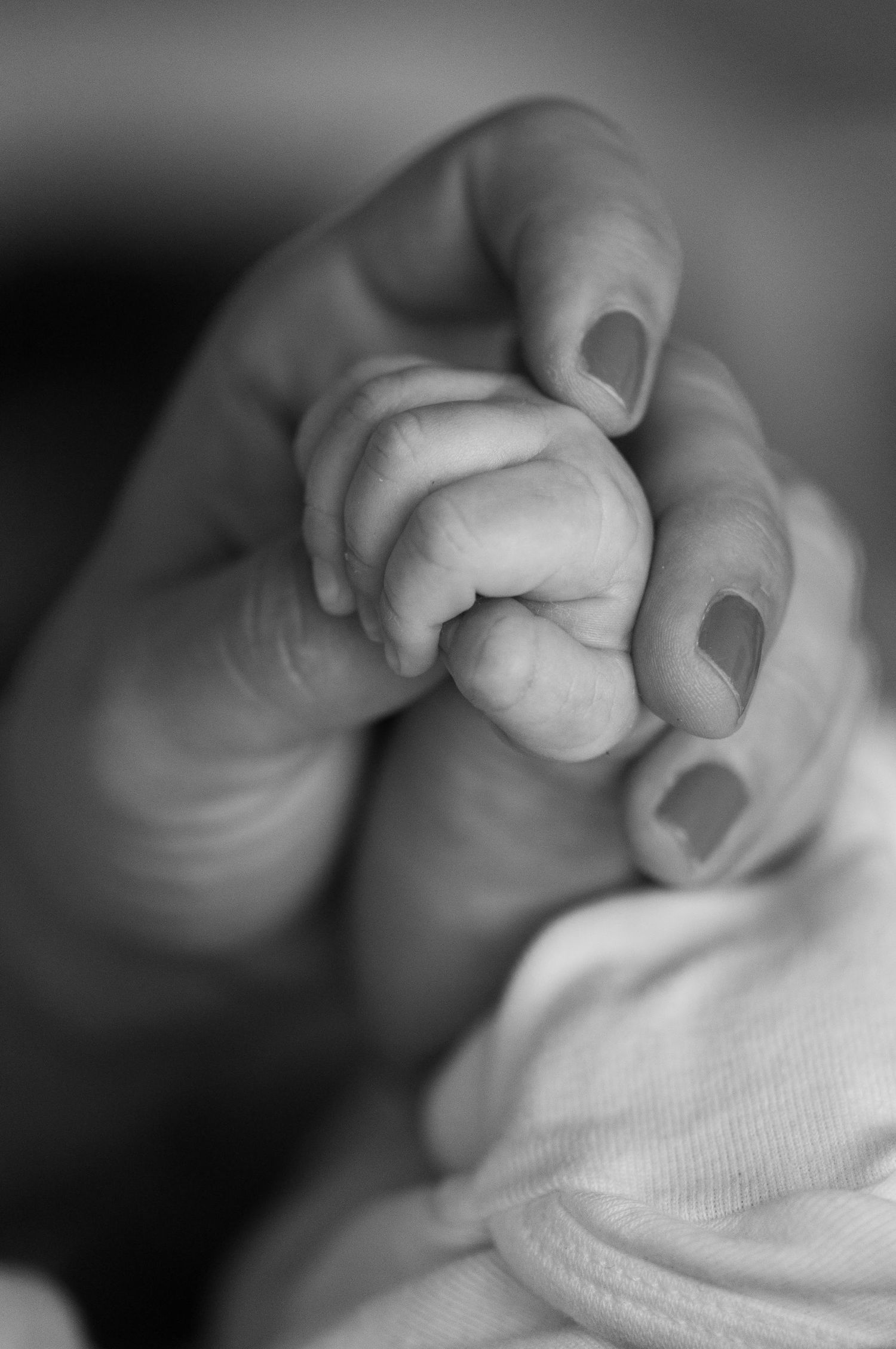 Newborn Photography Testimonial