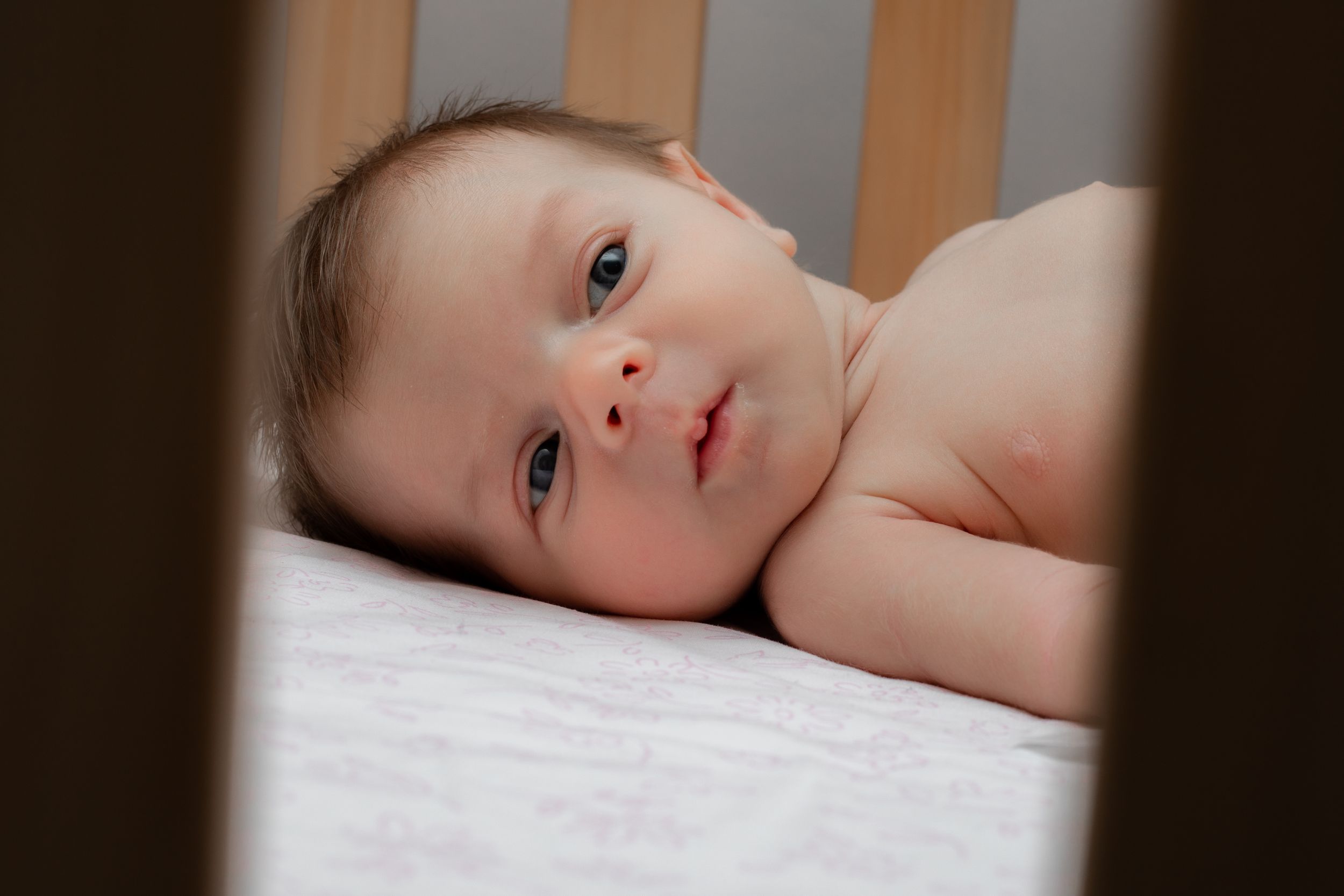 Baby new born portrait photographer, event photographer