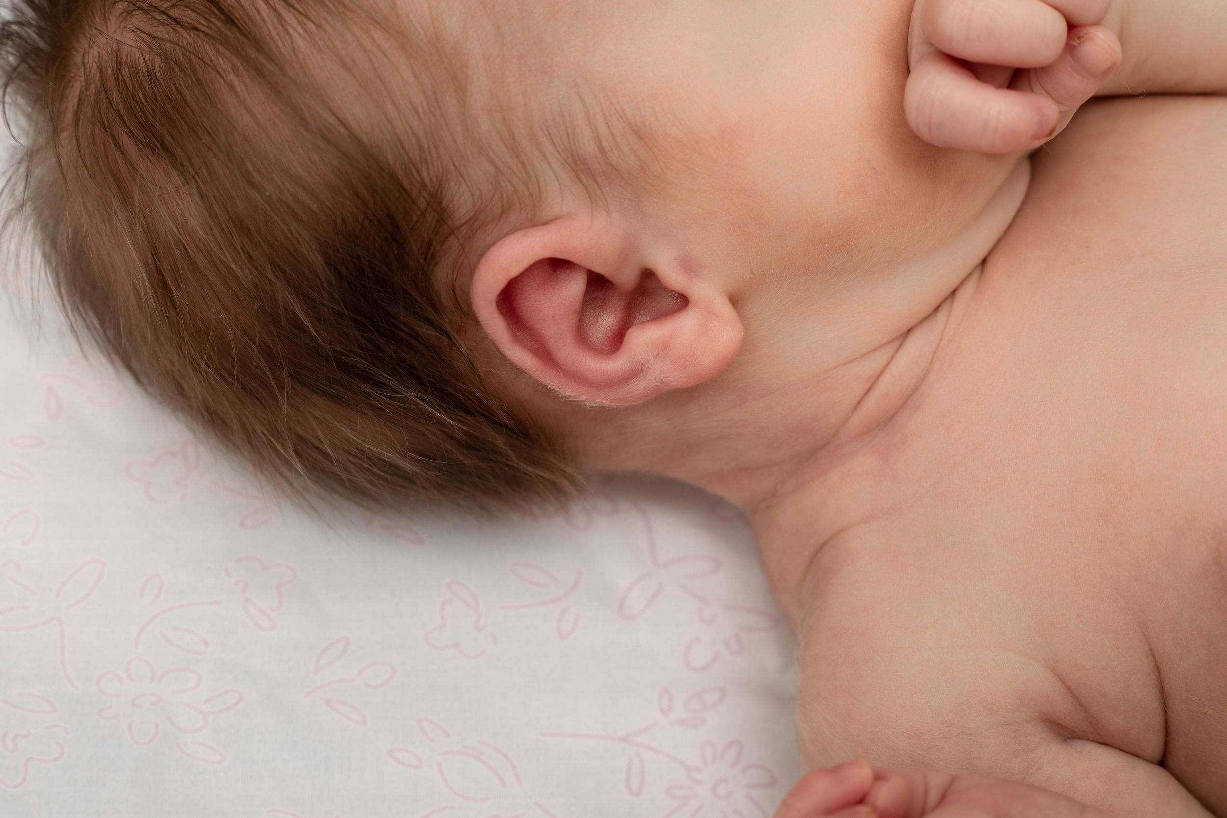 Baby new born portrait photographer, event photographer