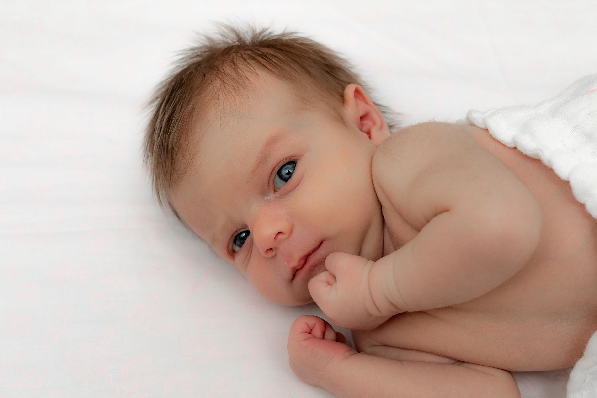 Baby new born portrait photographer, event photographer