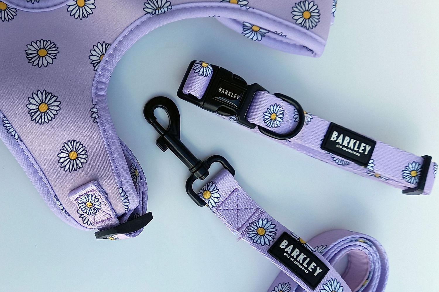 Professional product photography by Stay&cee Creative, designed to elevate your brand and showcase your products